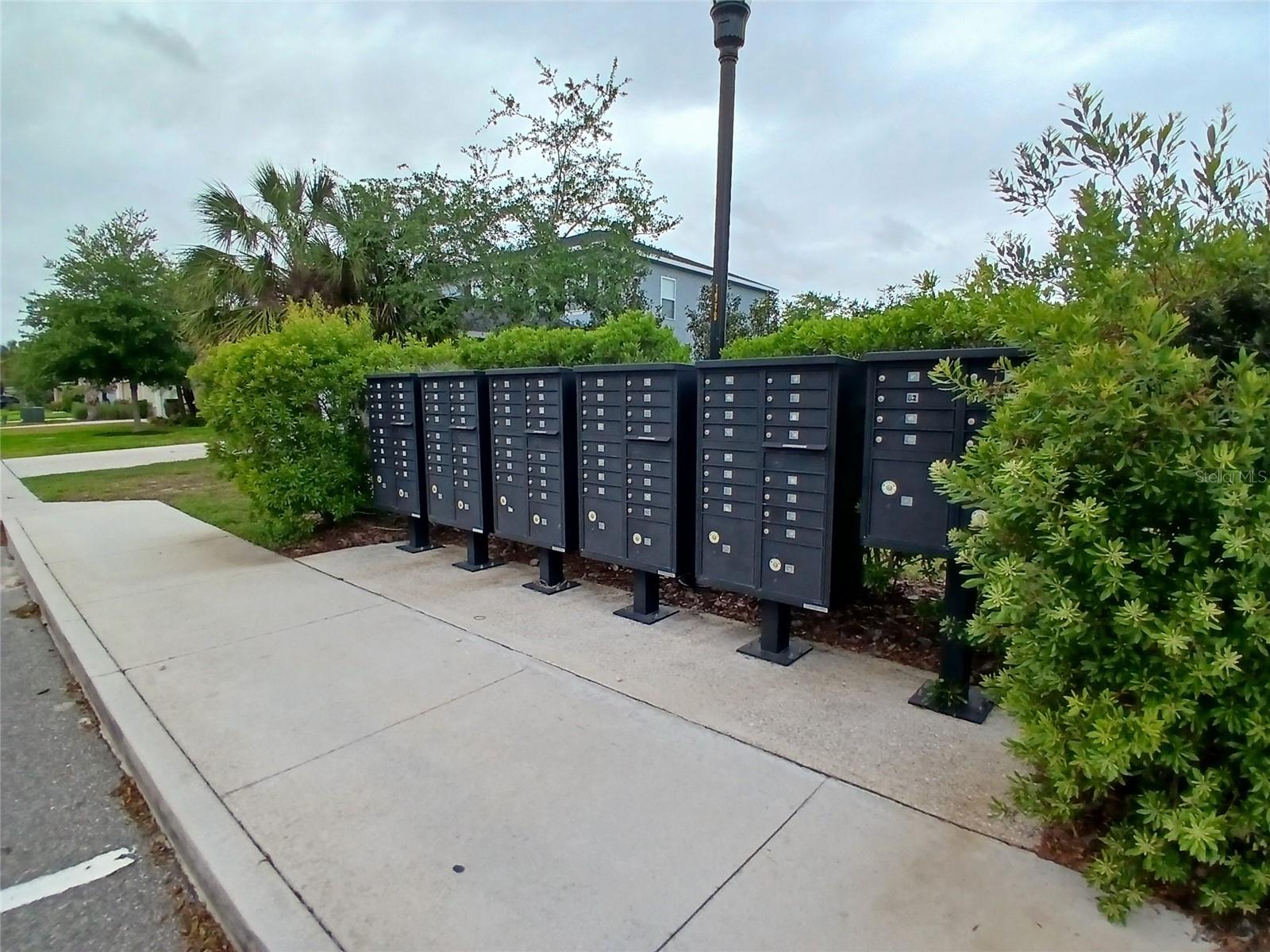 29900 WALSH OAK DR — photo 81