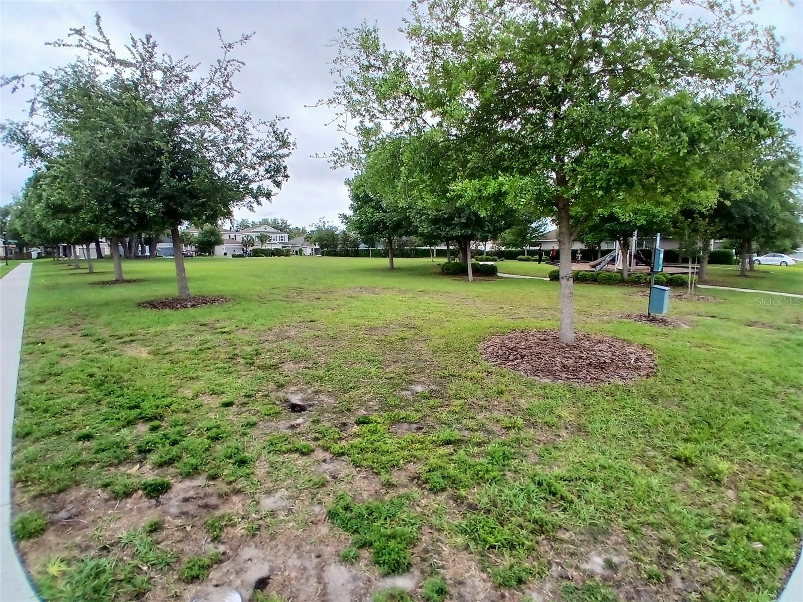 29900 WALSH OAK DR — photo 80