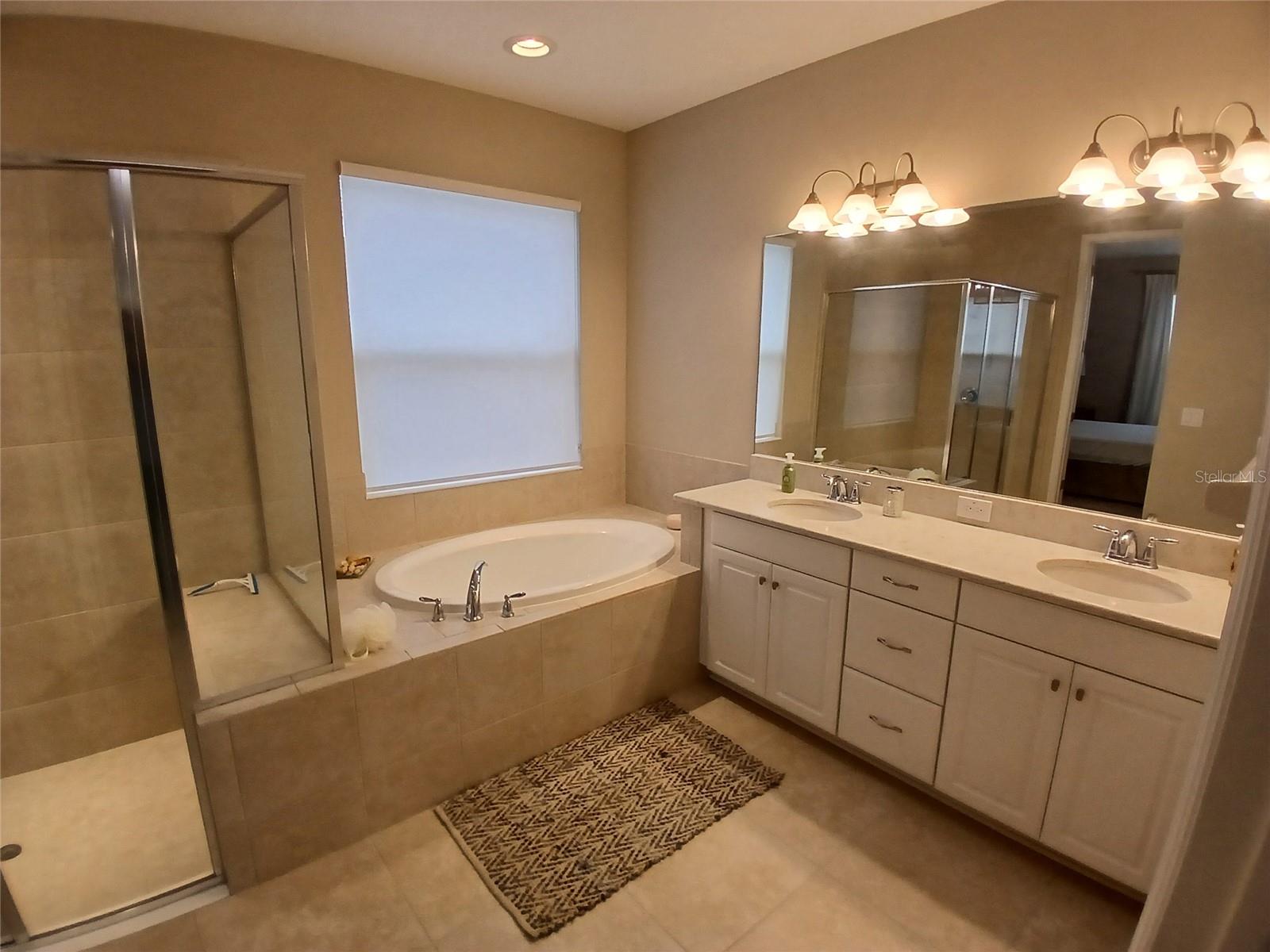 29900 WALSH OAK DR — photo 49