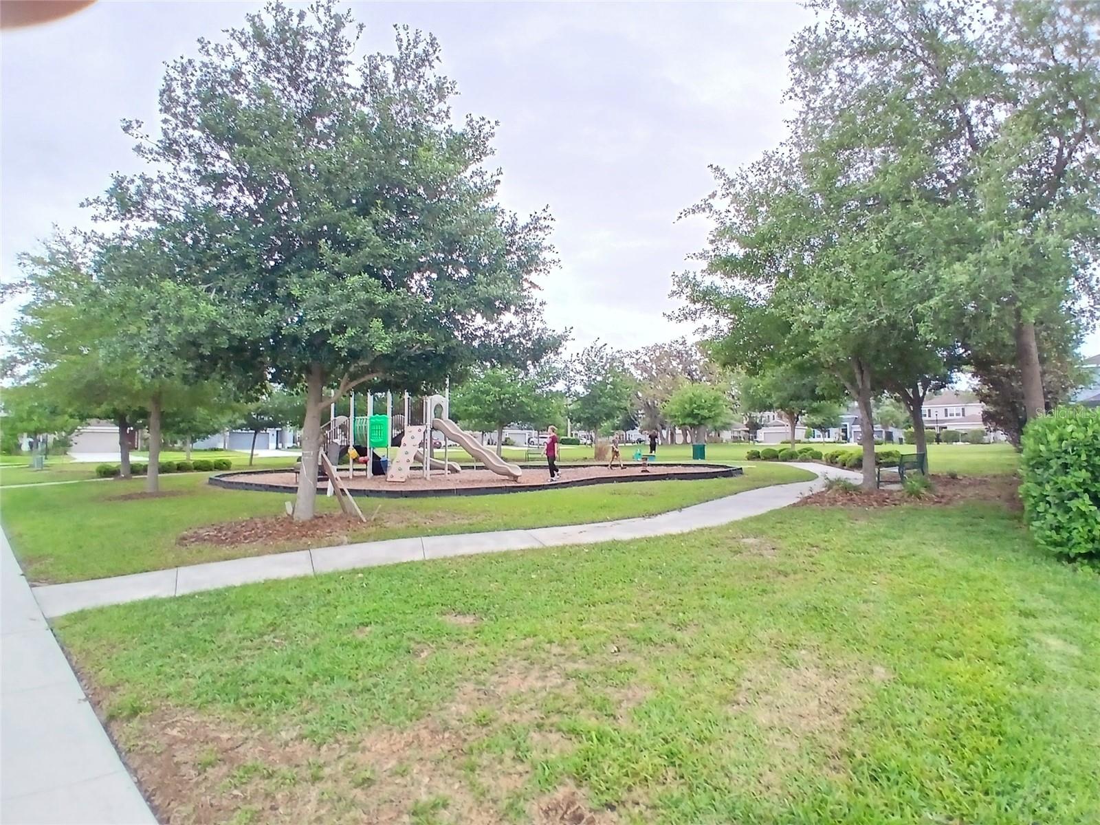 29900 WALSH OAK DR — photo 75