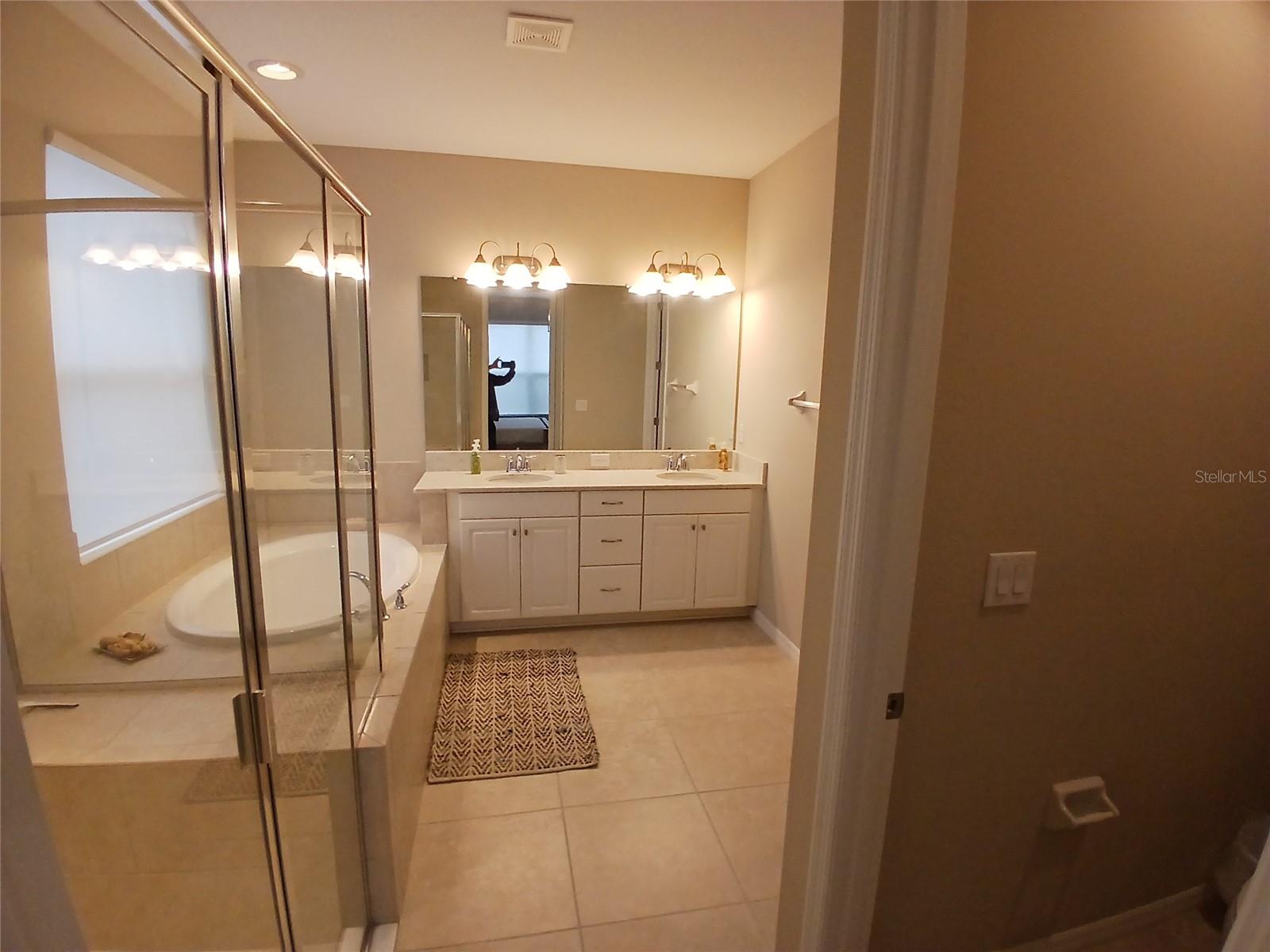 29900 WALSH OAK DR — photo 46