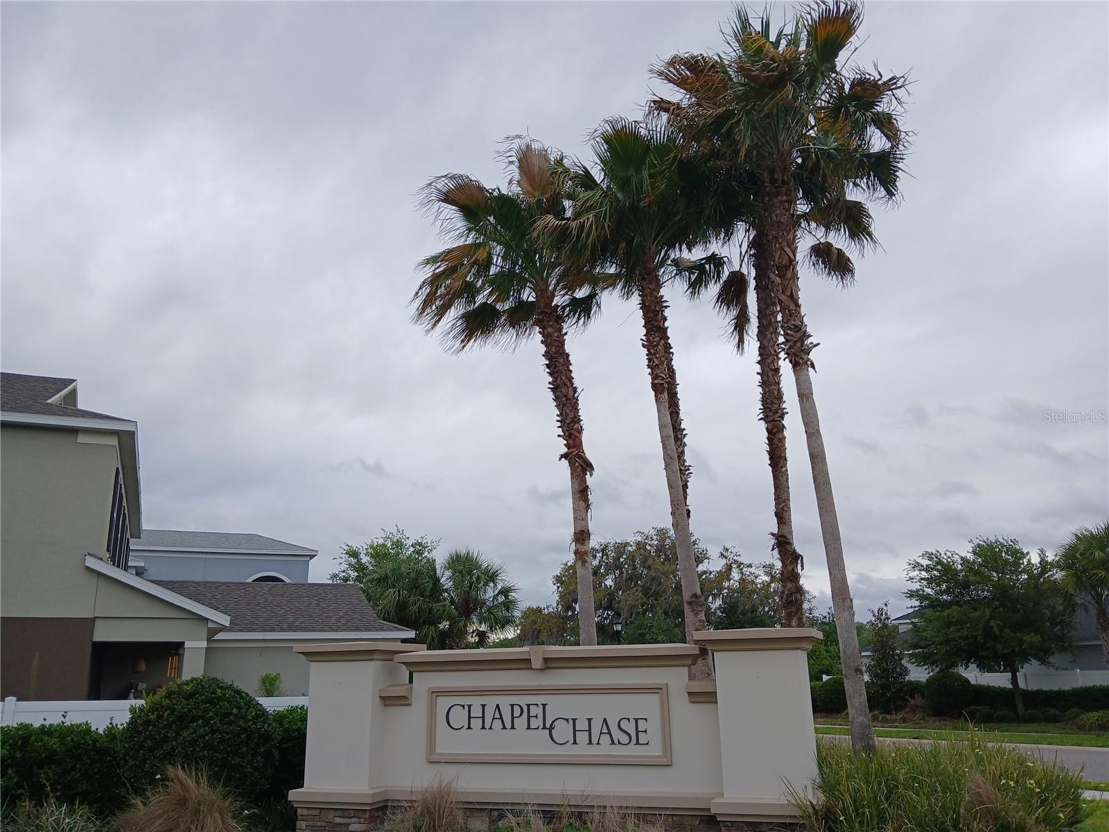 29900 WALSH OAK DR — photo 87