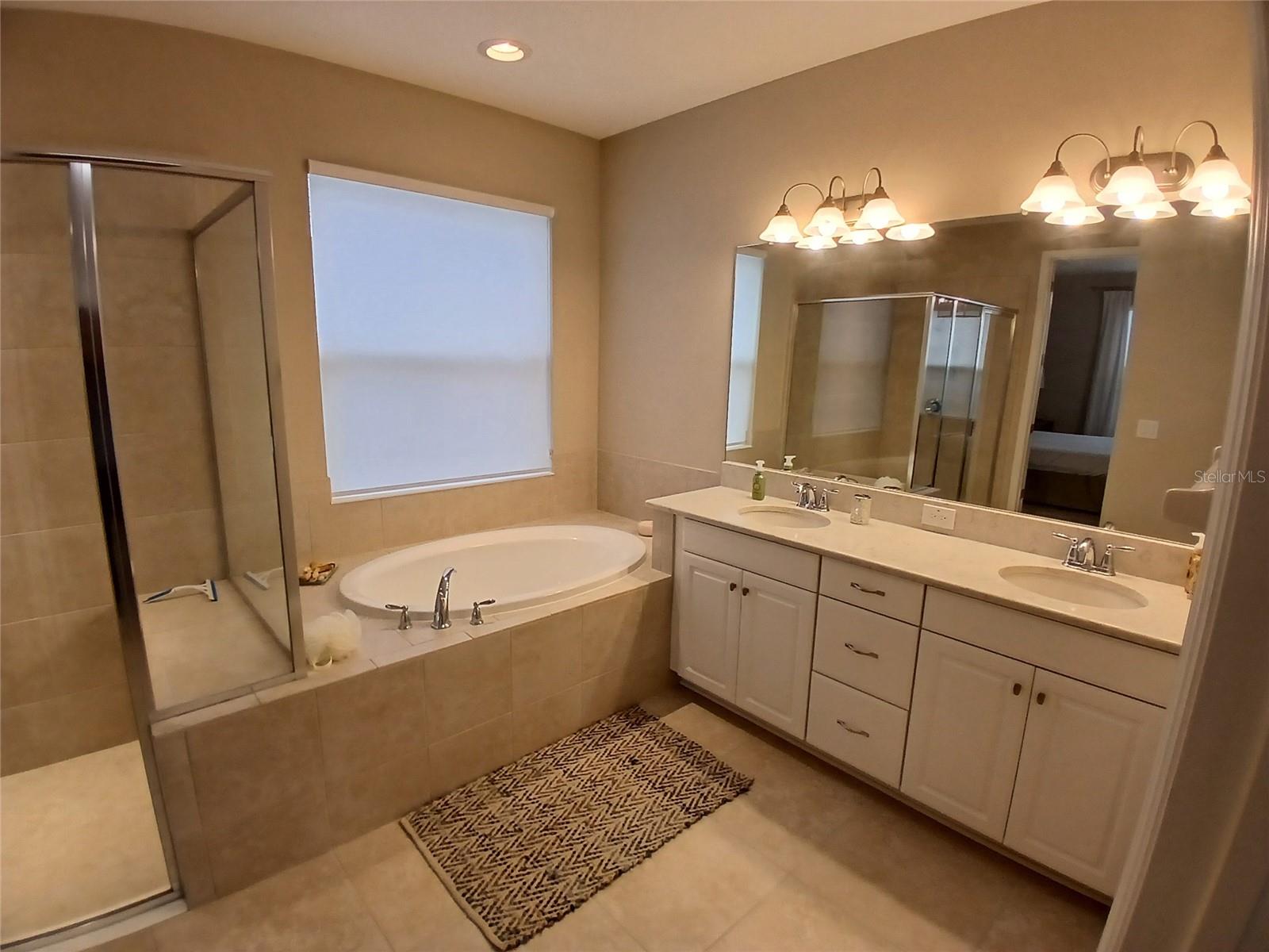 29900 WALSH OAK DR — photo 50