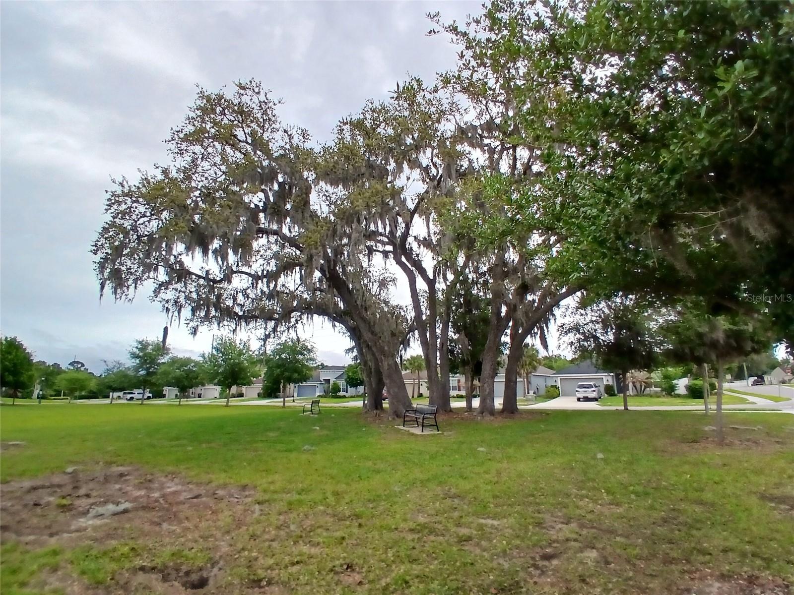 29900 WALSH OAK DR — photo 85