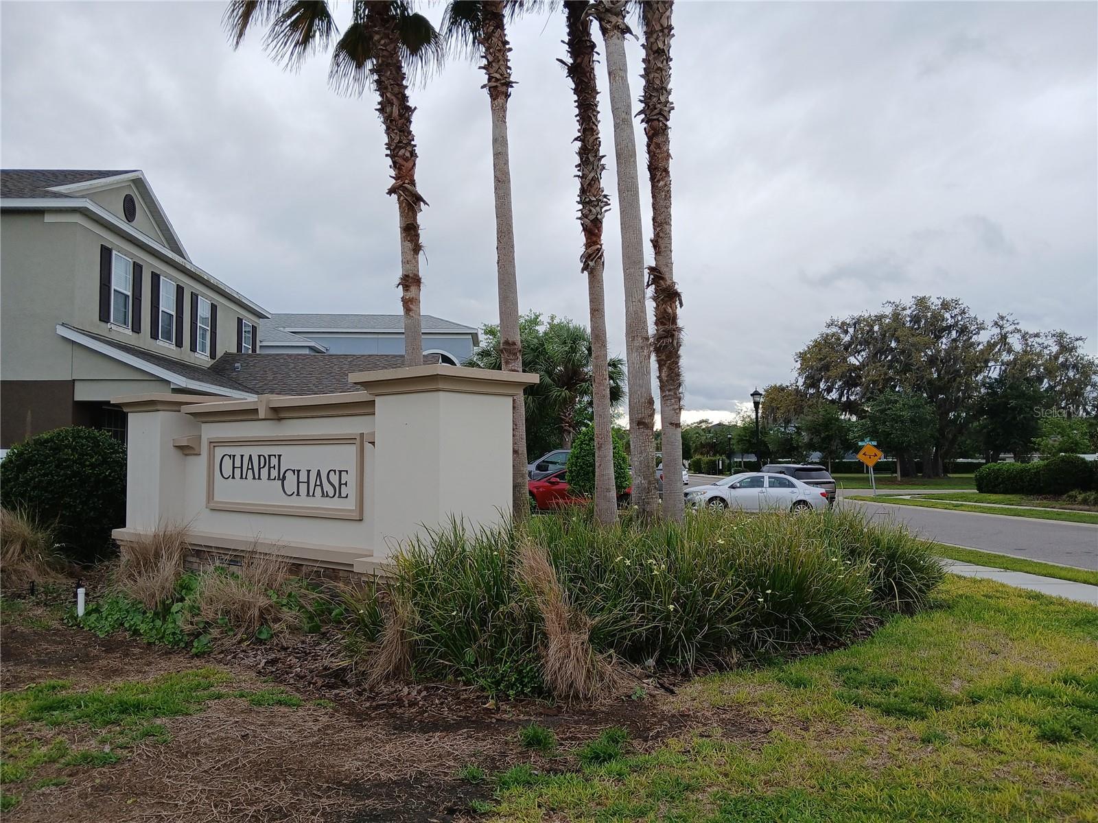 29900 WALSH OAK DR — photo 86