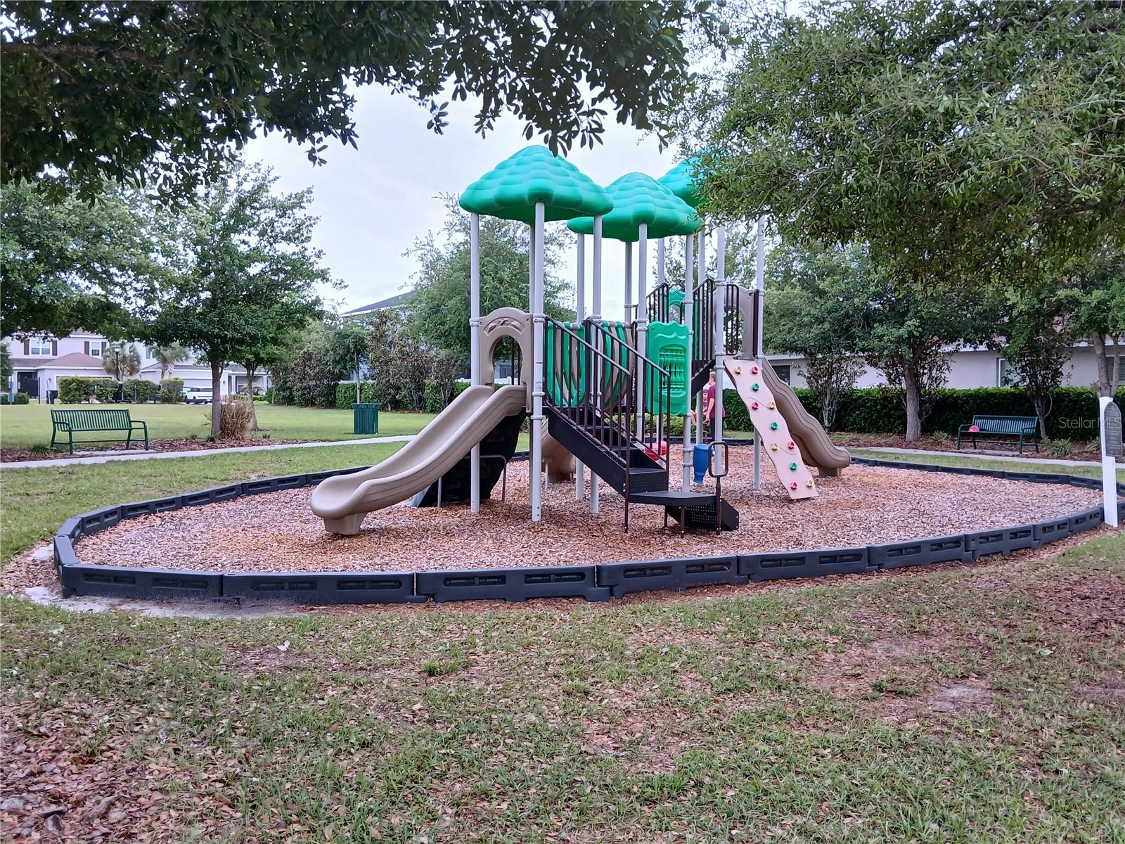 29900 WALSH OAK DR — photo 79