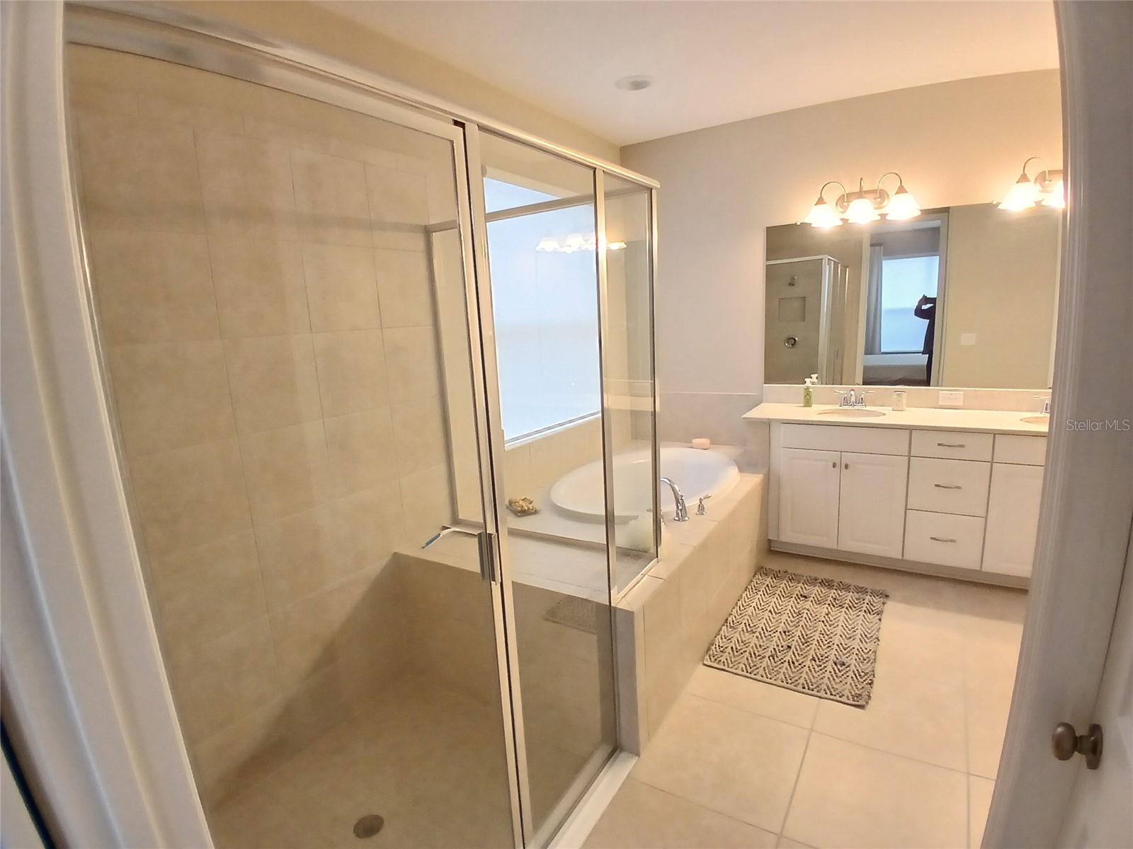 29900 WALSH OAK DR — photo 45