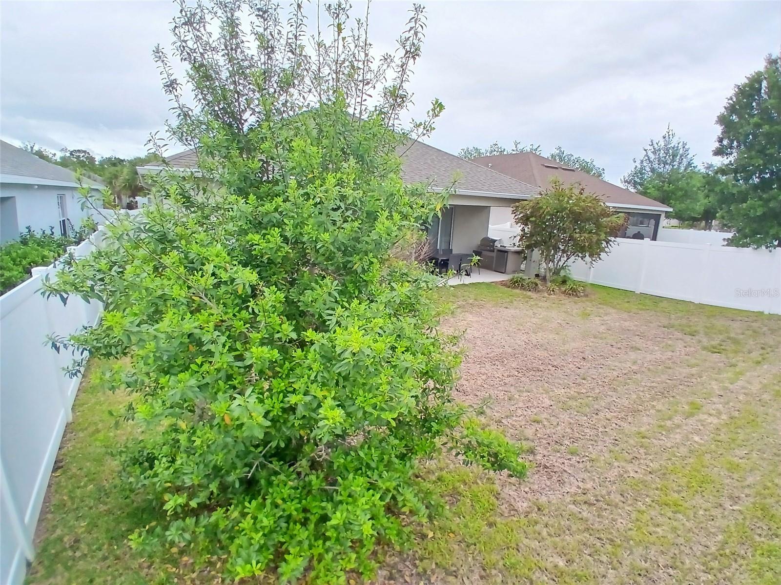 29900 WALSH OAK DR — photo 60