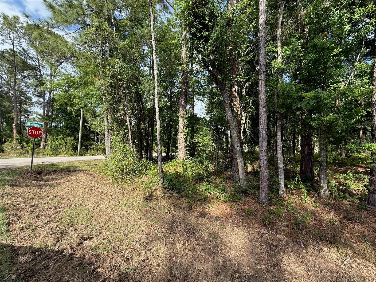 QUAIL HOLLOW BLVD — photo 13