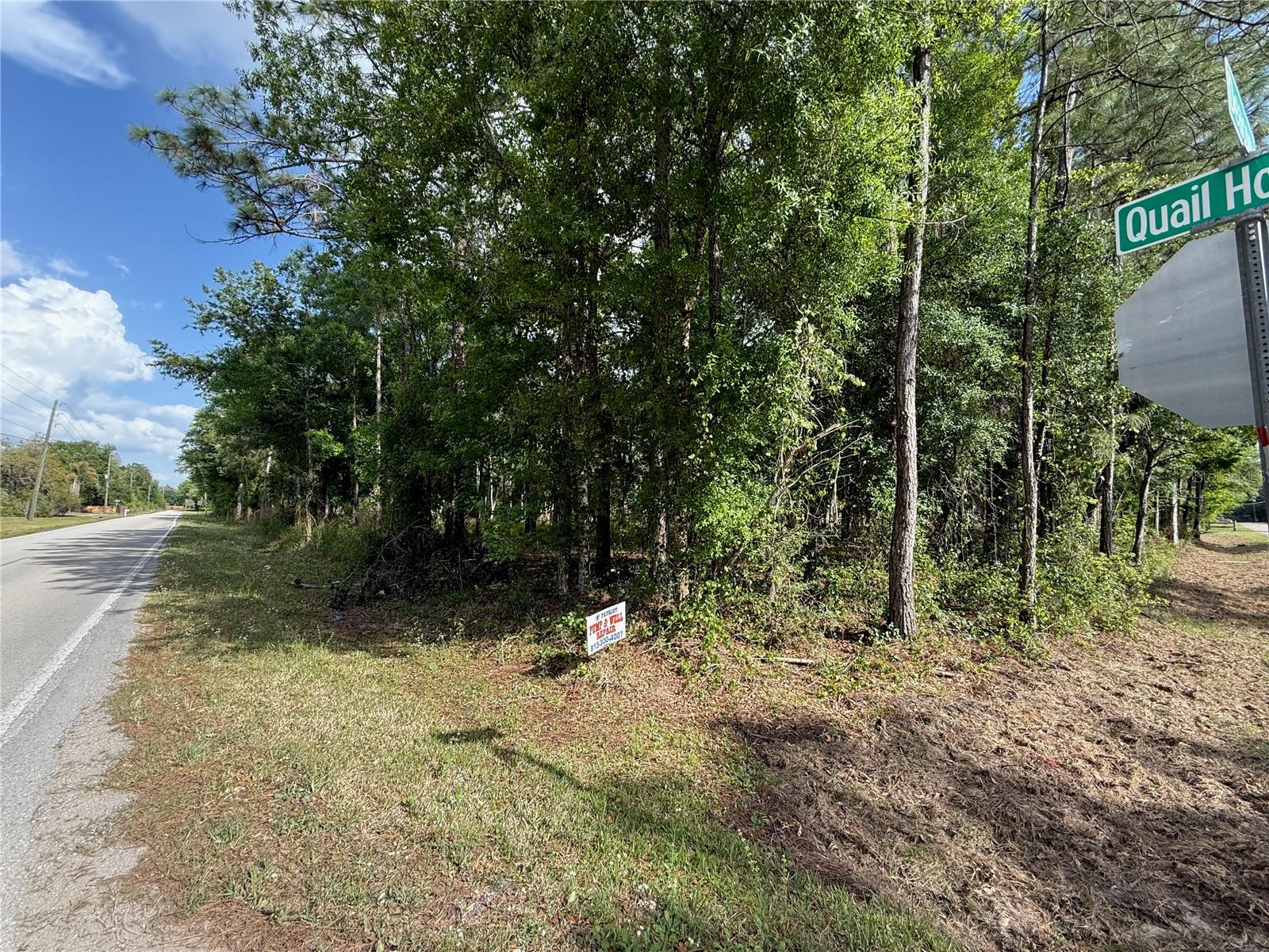 QUAIL HOLLOW BLVD — photo 15