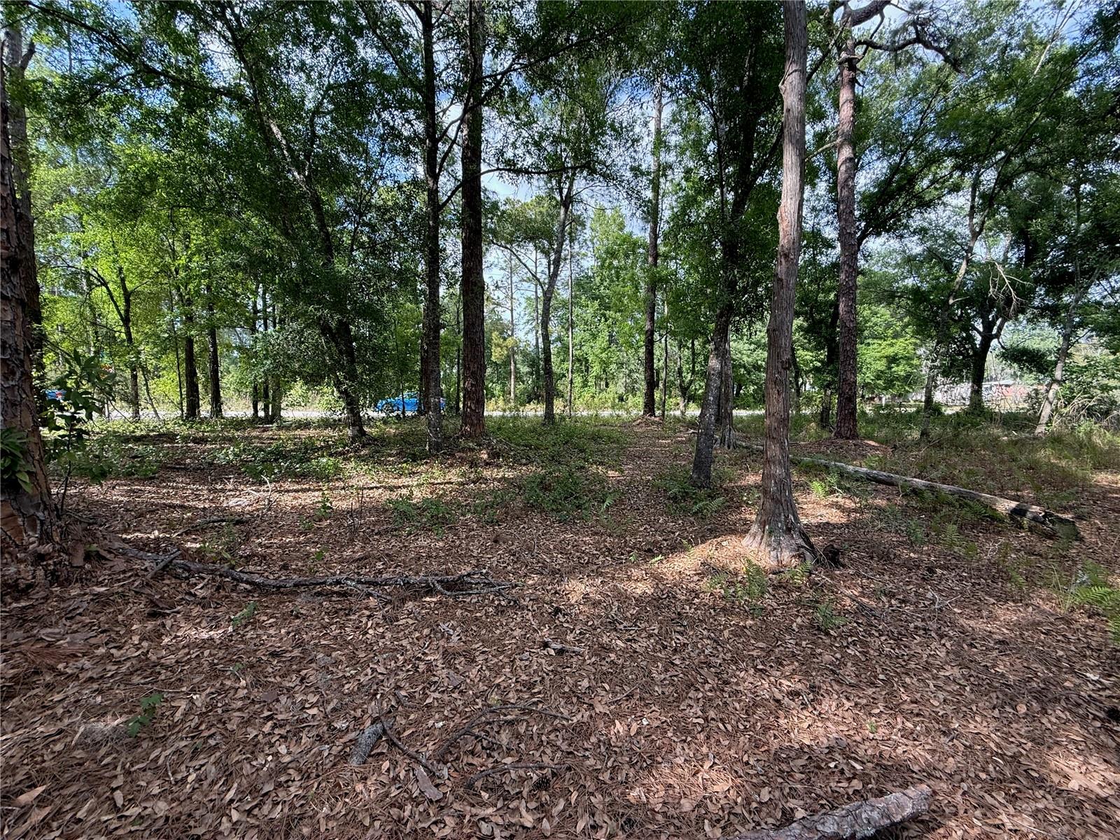 QUAIL HOLLOW BLVD — photo 11