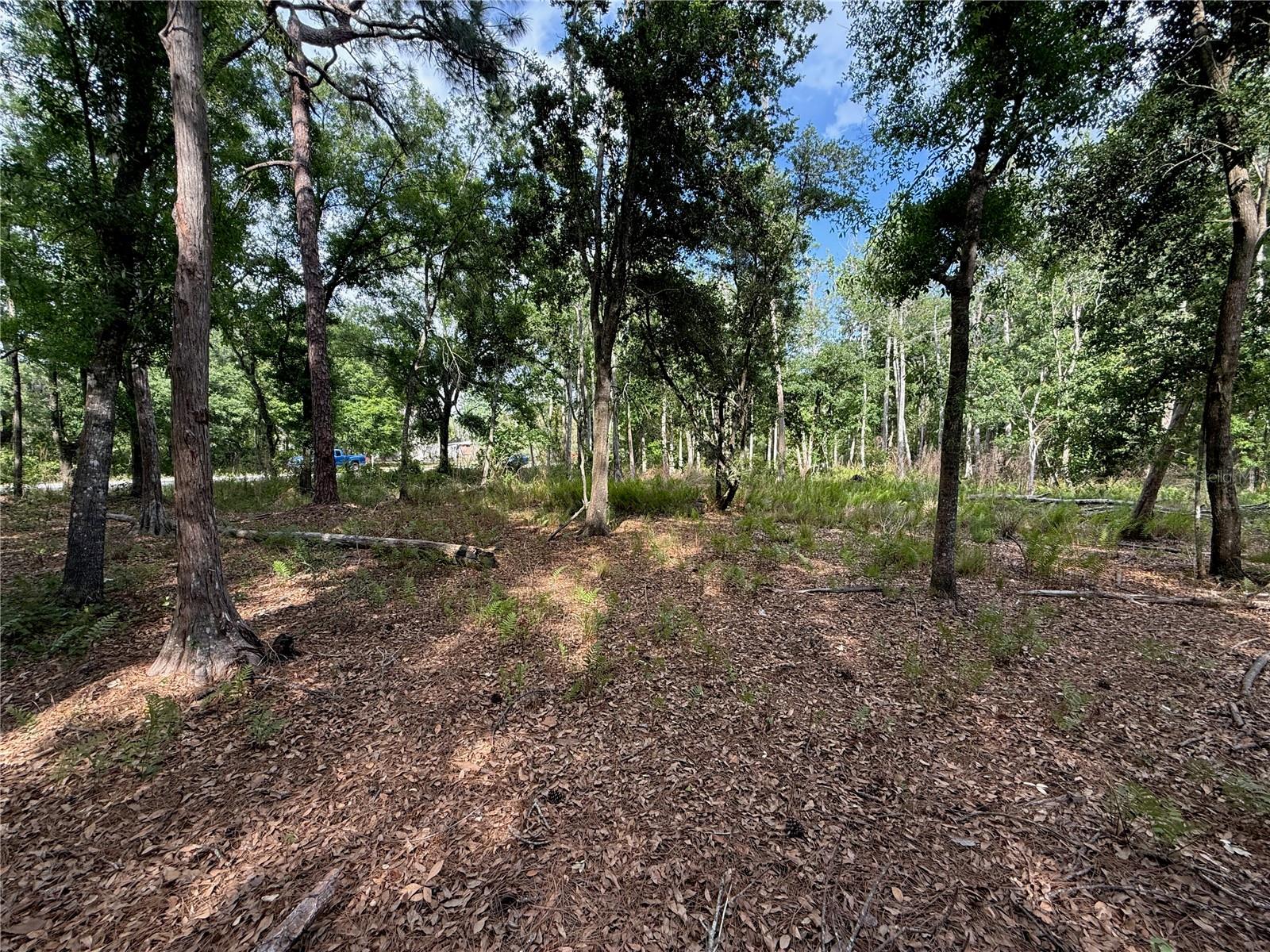 QUAIL HOLLOW BLVD — photo 10