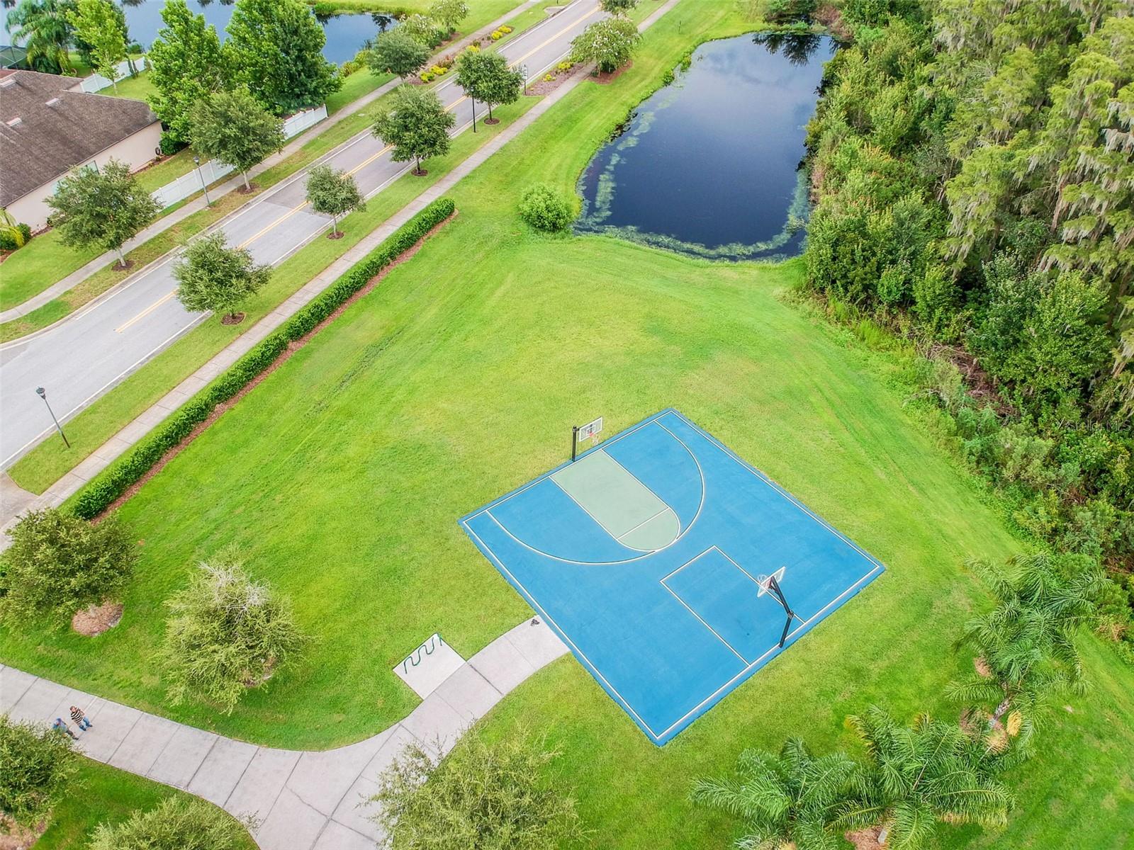 10316 CLOVER PINE DR — photo 94