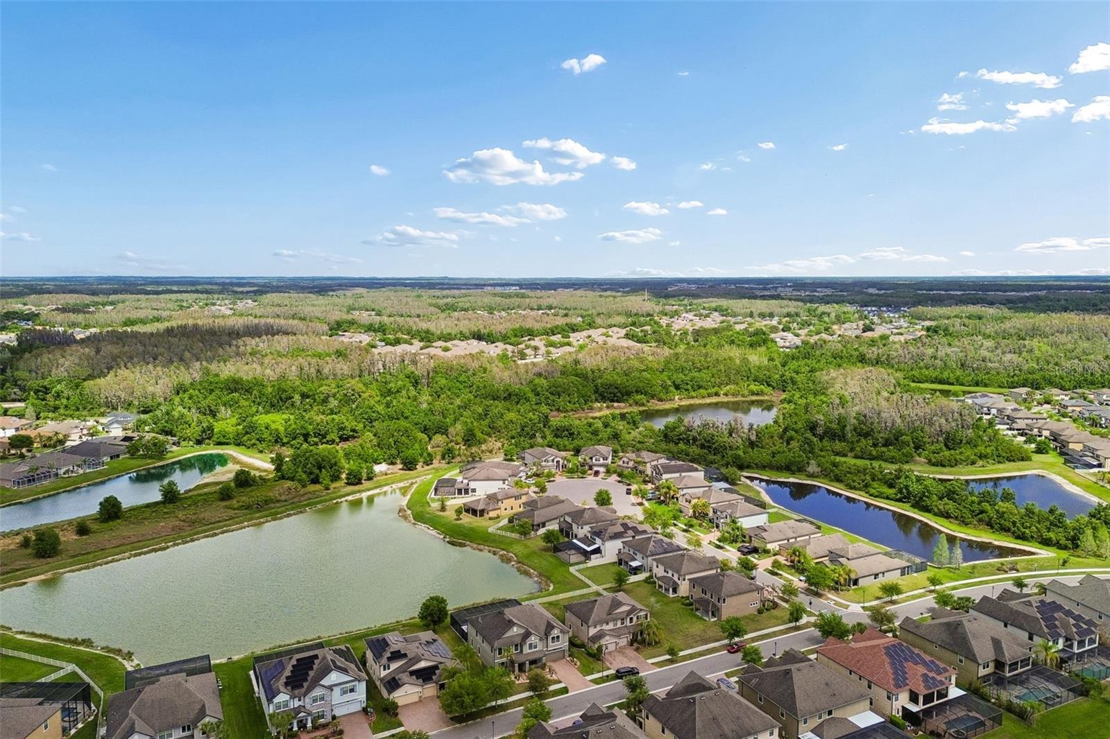10316 CLOVER PINE DR — photo 77
