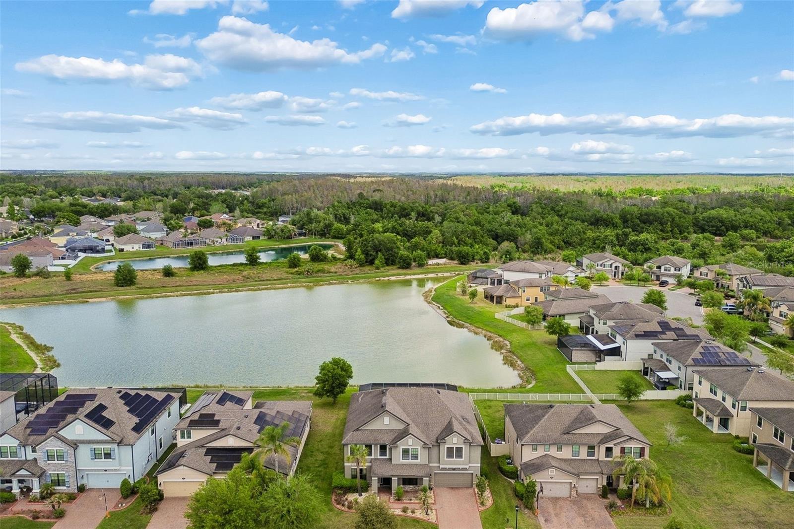 10316 CLOVER PINE DR — photo 76
