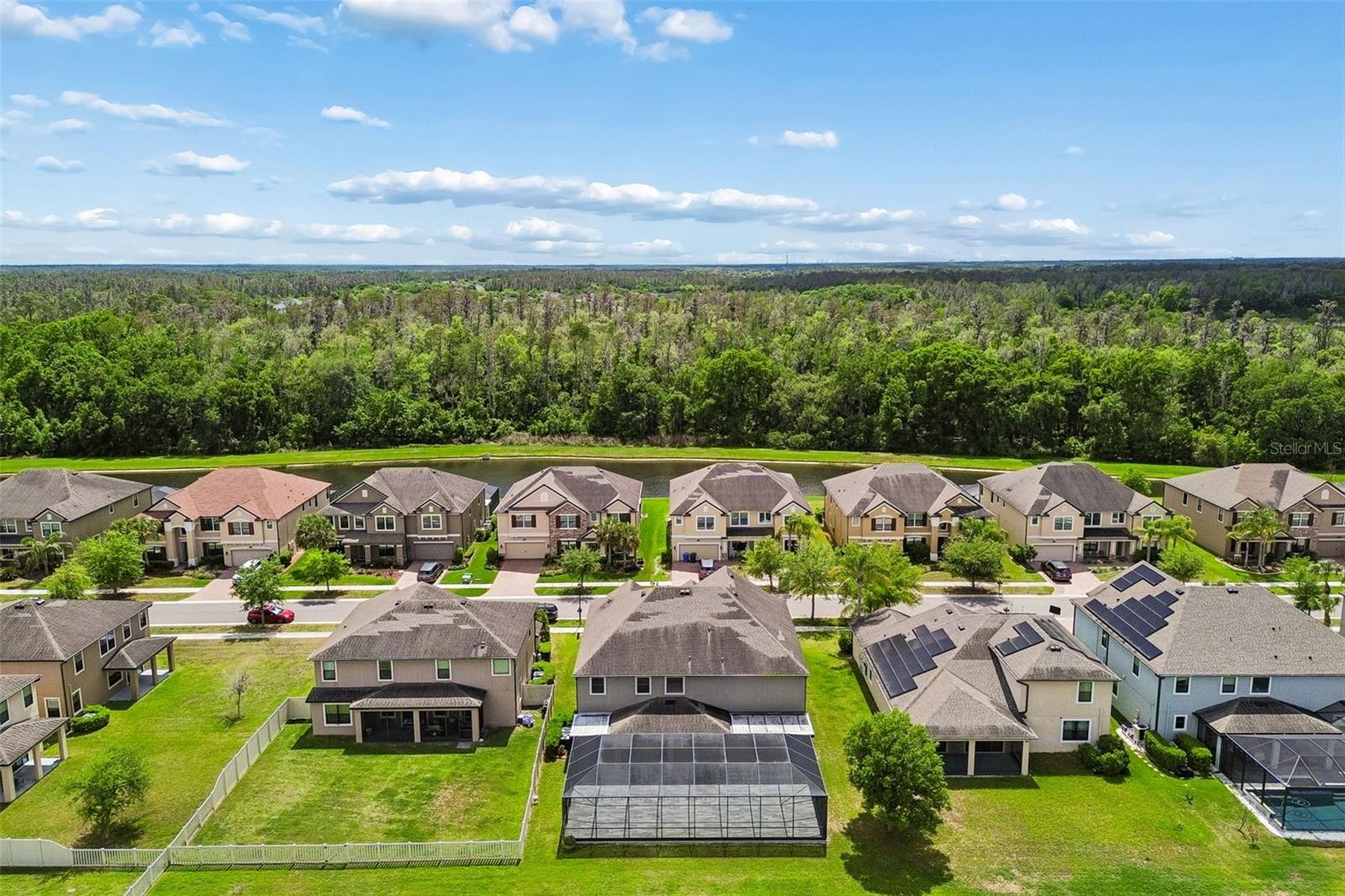 10316 CLOVER PINE DR — photo 80