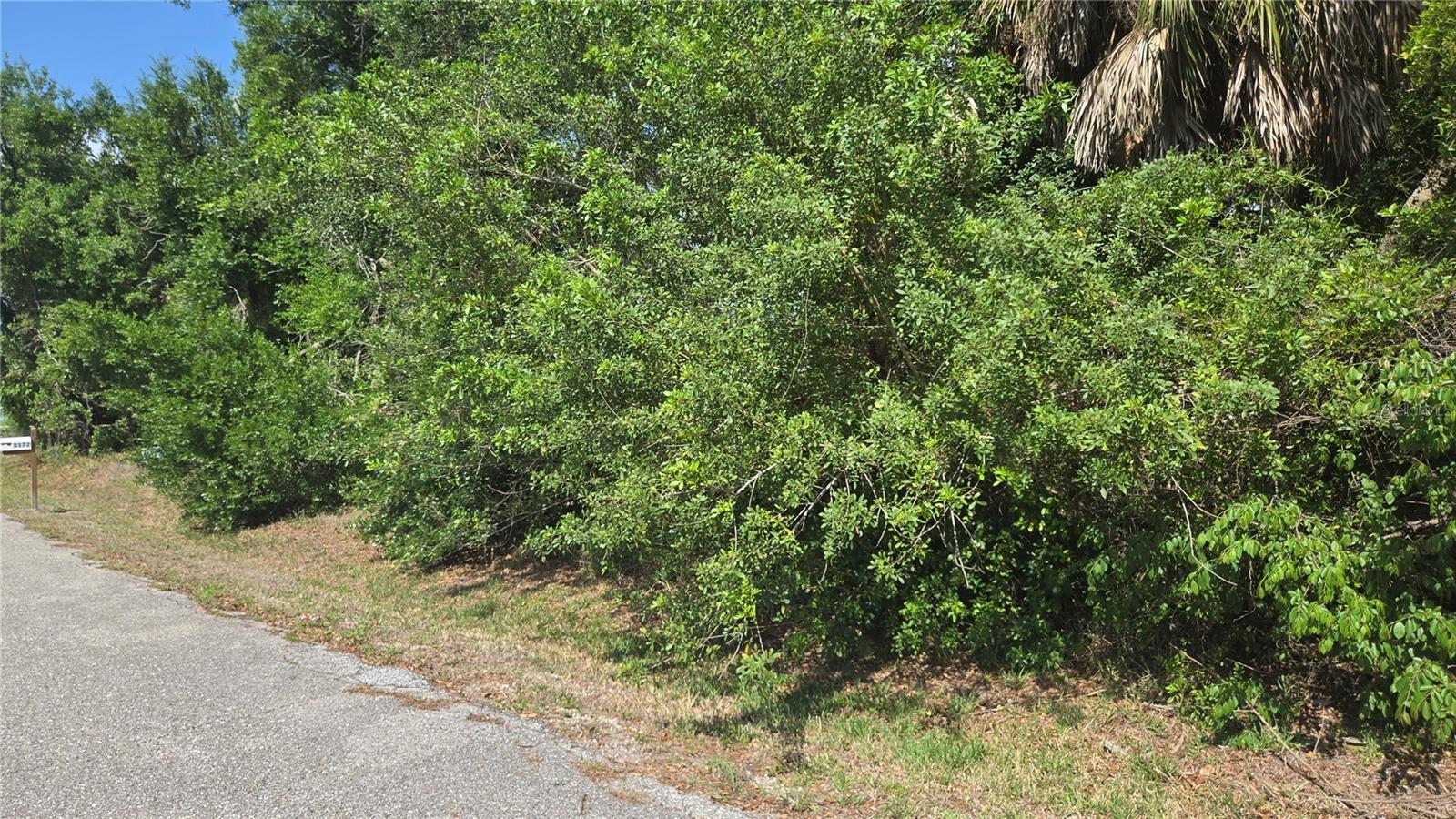 ROLLA RD — photo 3