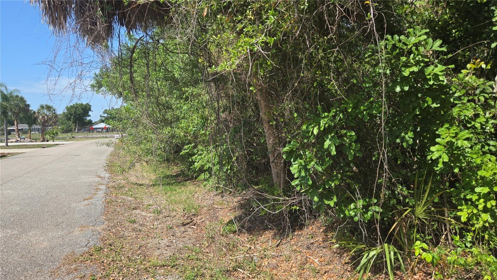 ROLLA RD — photo 2
