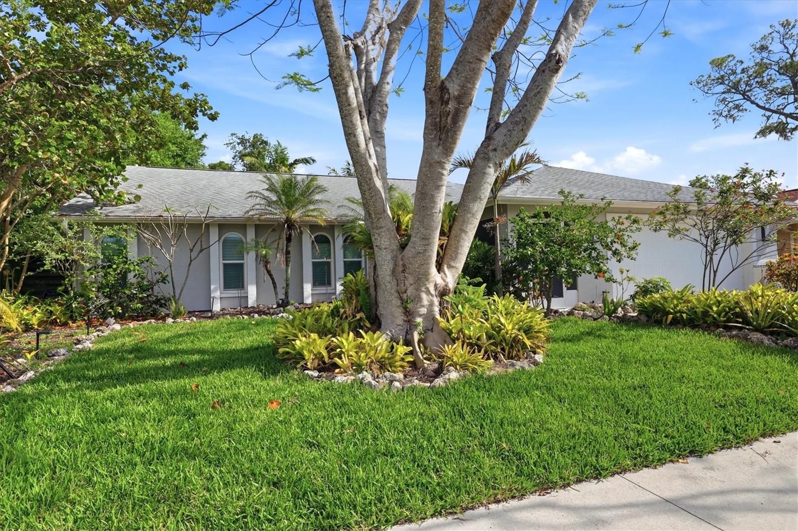 5599 WILDE OAK WAY — photo 8