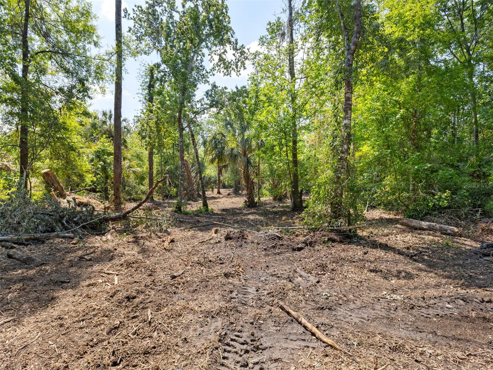 0 MUDDY WATER TRL — photo 8