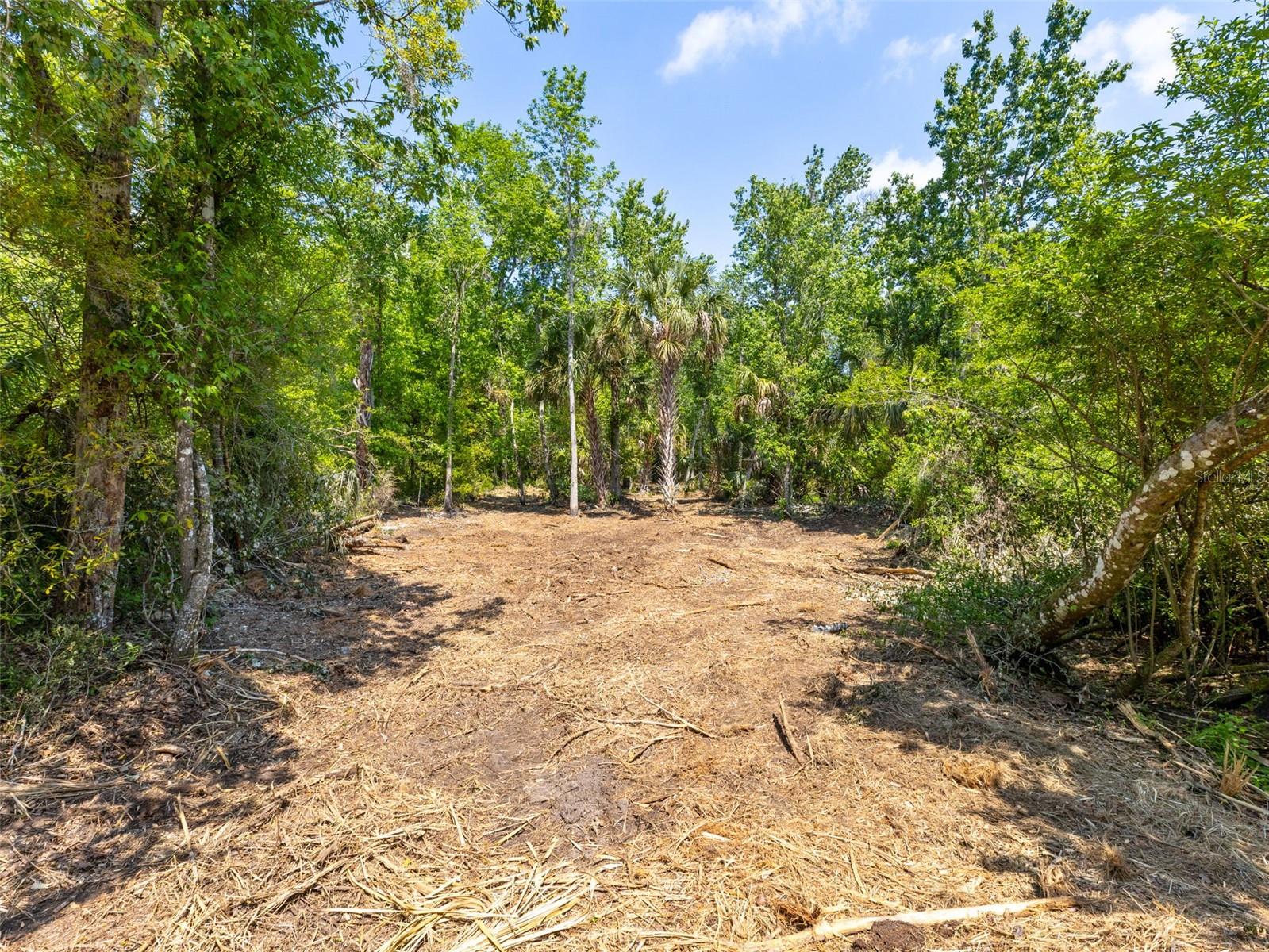 0 MUDDY WATER TRL — photo 4