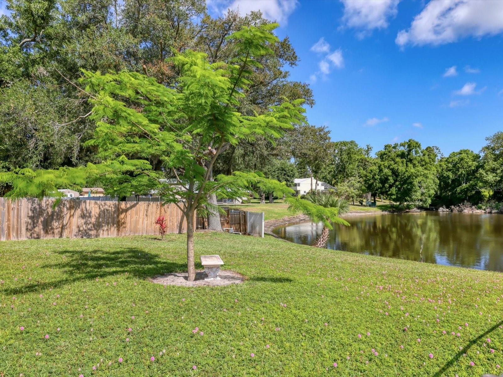 3927 DESOTO RD — photo 50