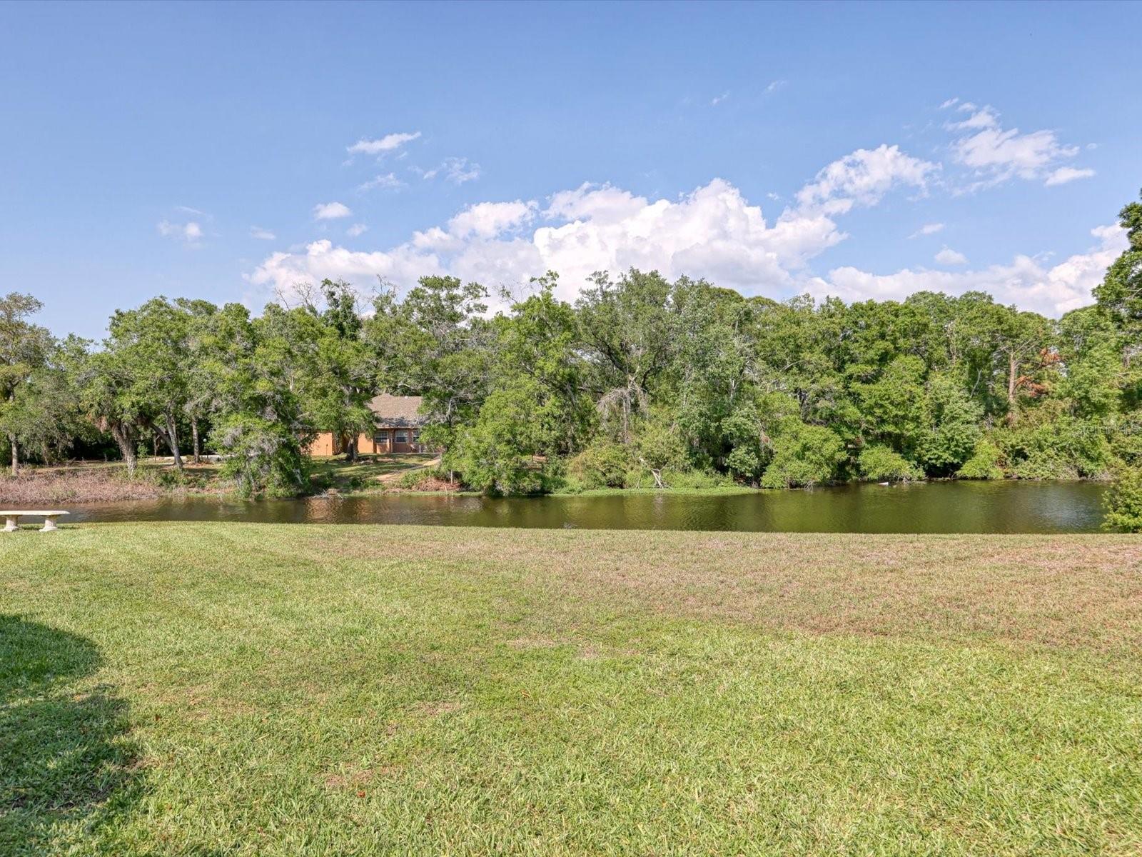 3927 DESOTO RD — photo 54