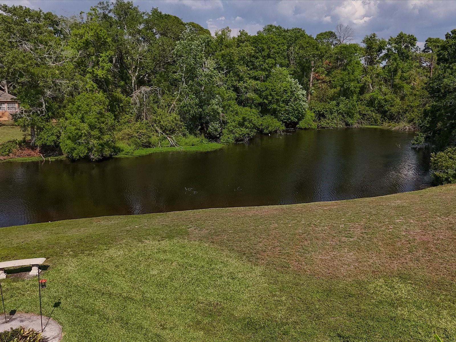 3927 DESOTO RD — photo 55