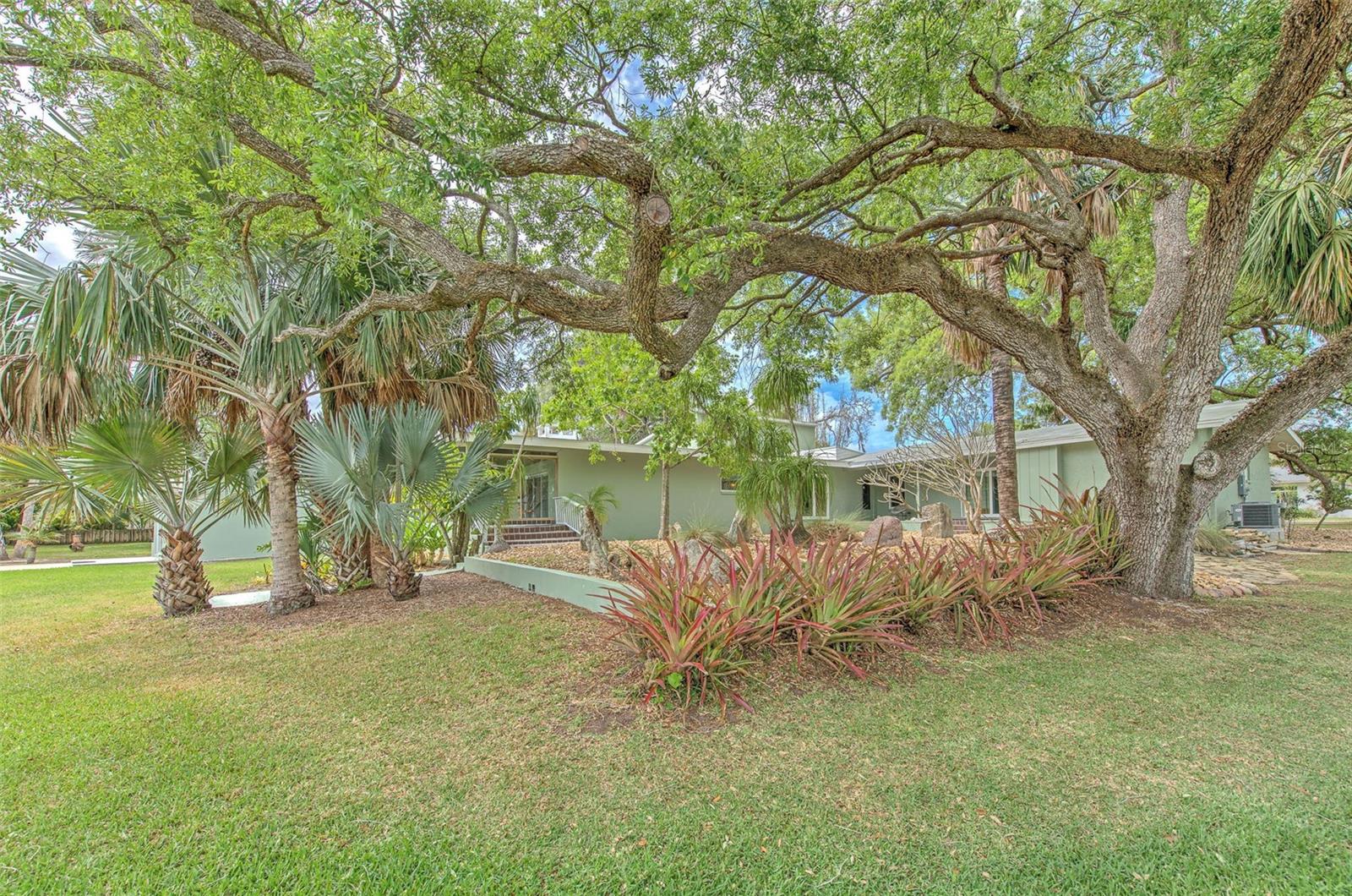 7102 MANDY LN — photo 44