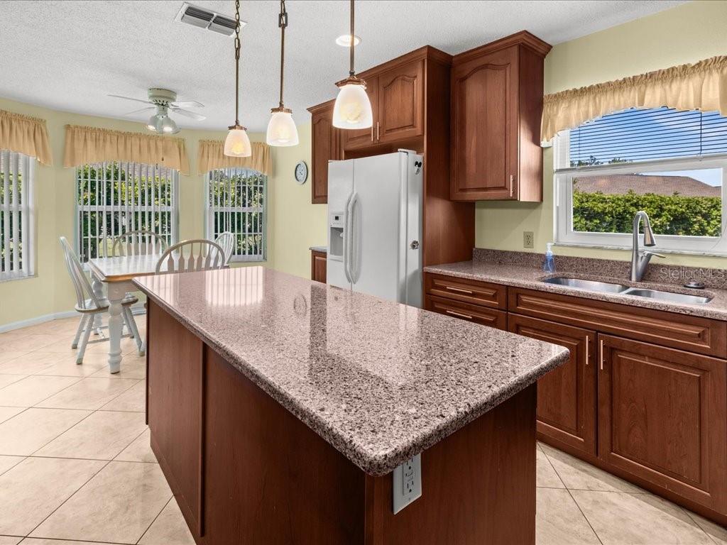 322 FALLING WATERS LN #163 — photo 9