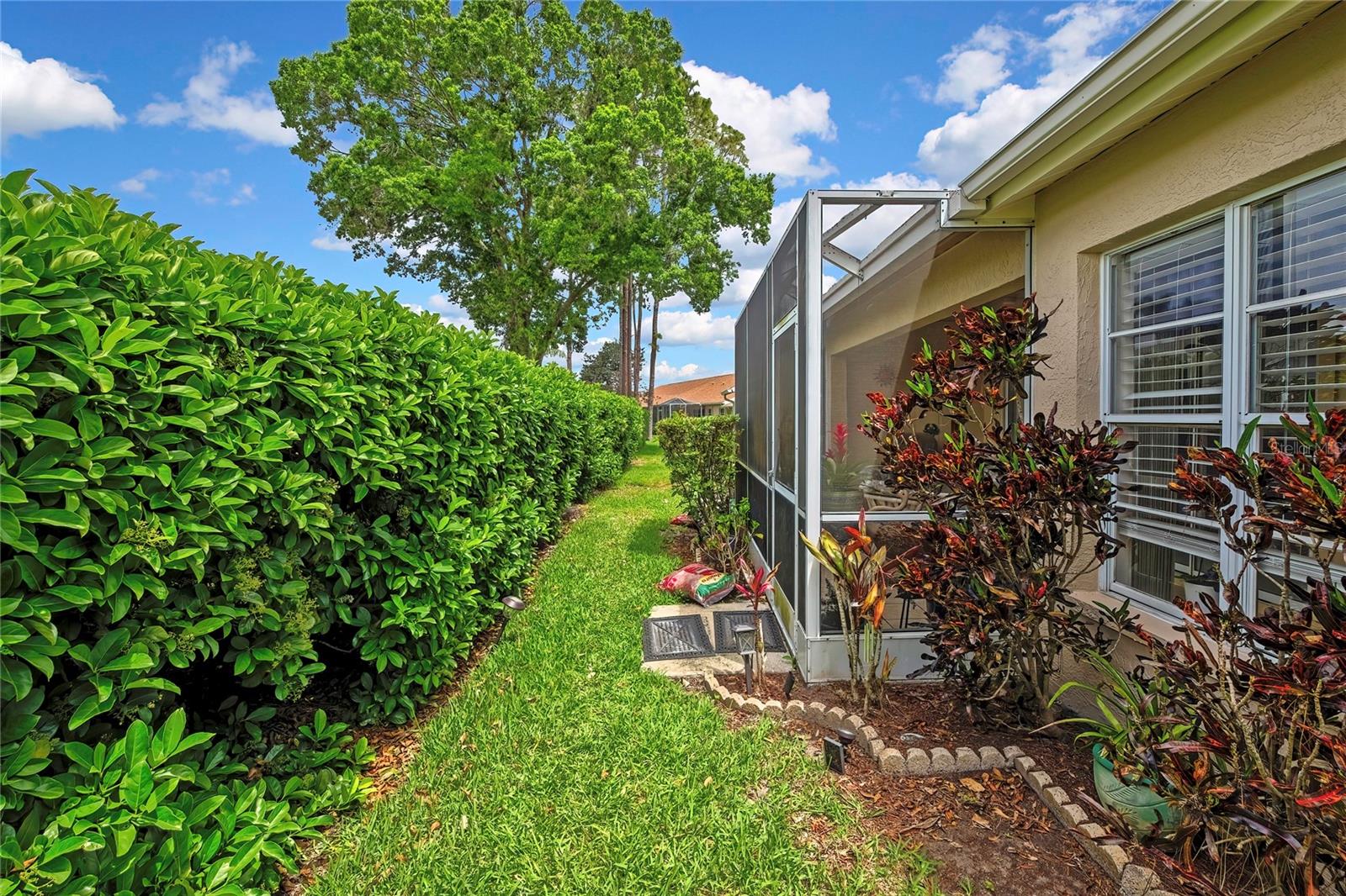 6447 PINE WALK DR — photo 20