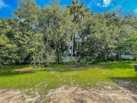 10108 HAWK STORM AVE — photo 40