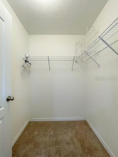 10108 HAWK STORM AVE — photo 19