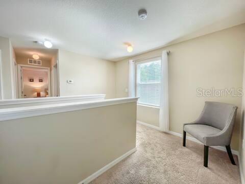 10108 HAWK STORM AVE — photo 33