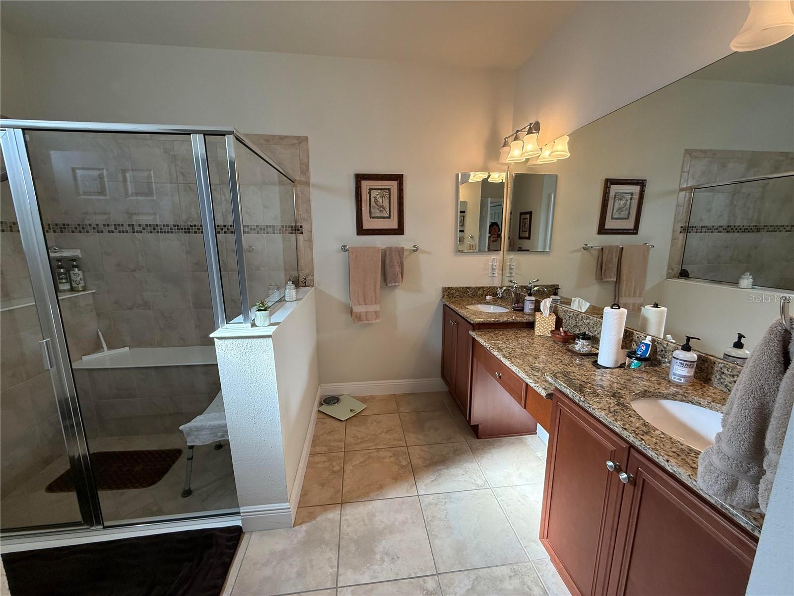 352 LAUREL FALLS DR — photo 33
