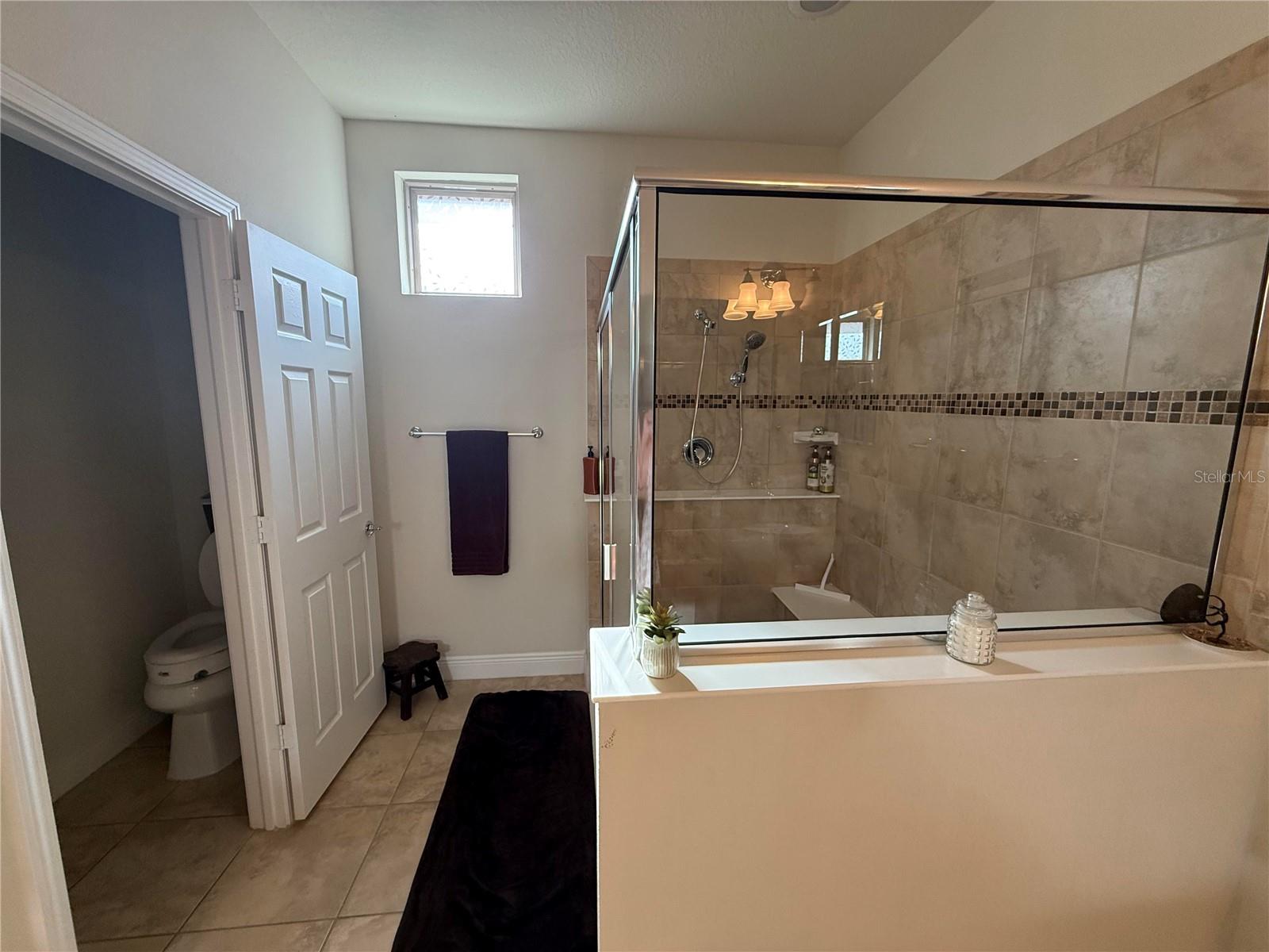 352 LAUREL FALLS DR — photo 34