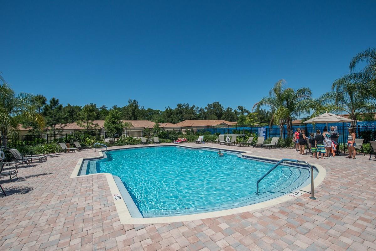 352 LAUREL FALLS DR — photo 55