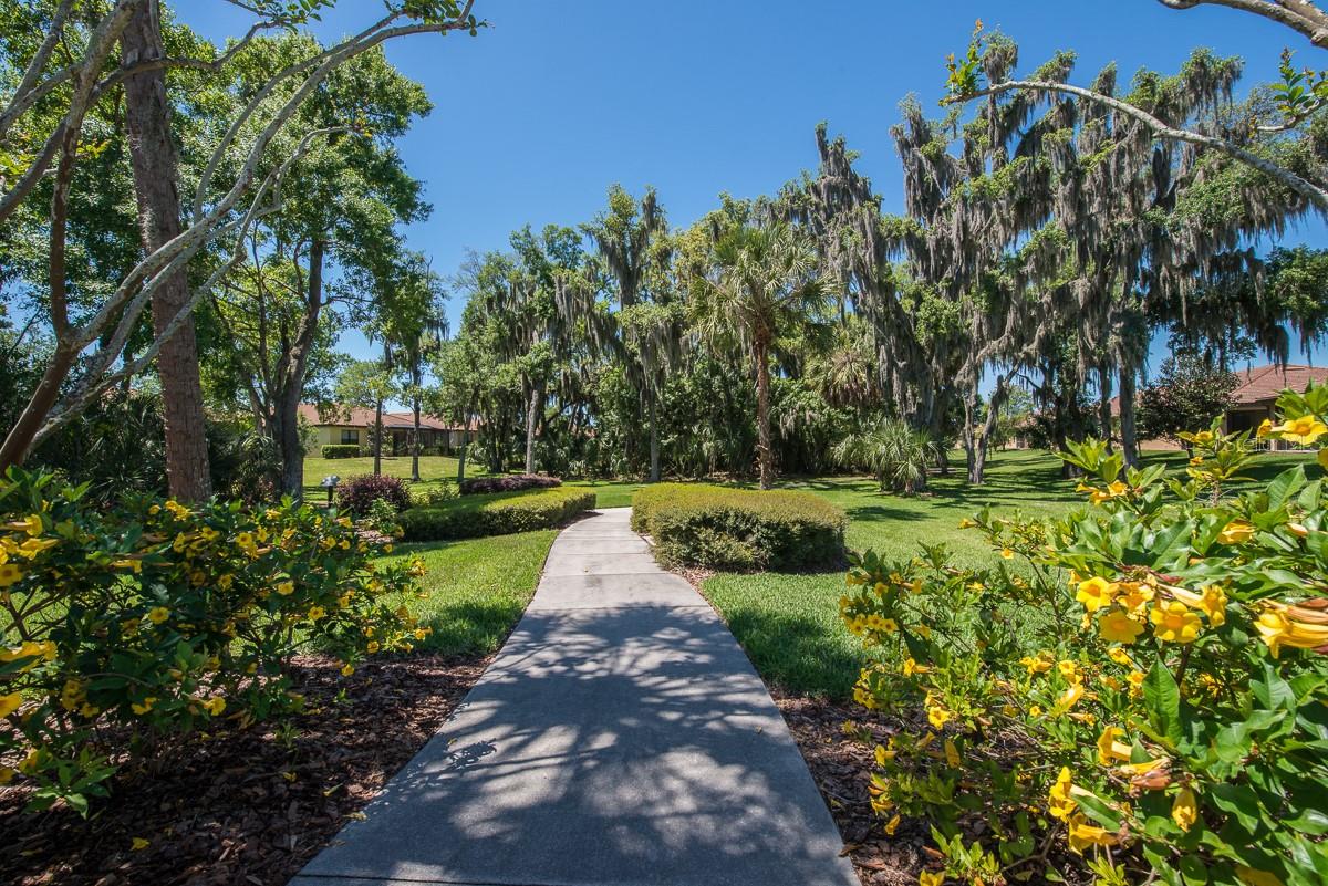 352 LAUREL FALLS DR — photo 63