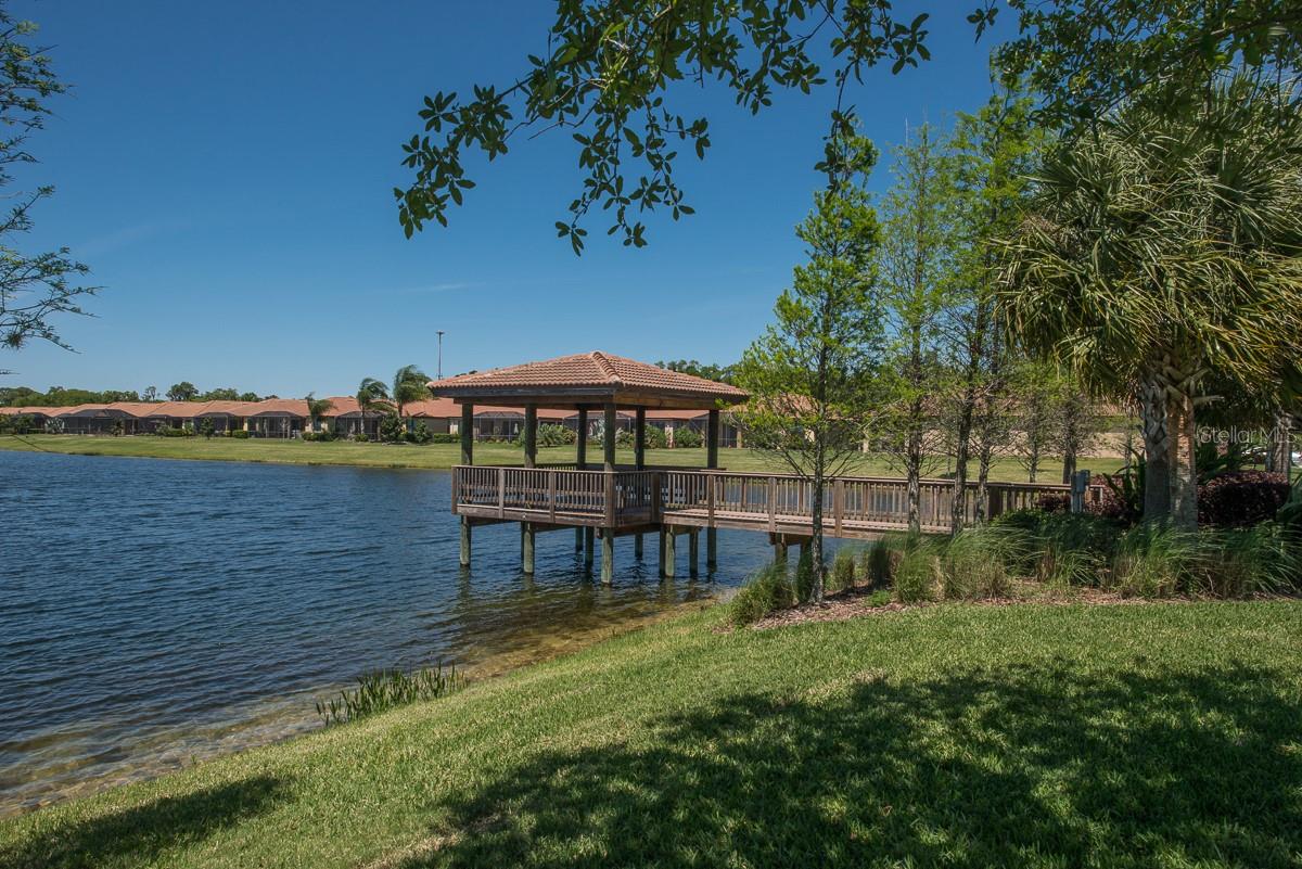 352 LAUREL FALLS DR — photo 62