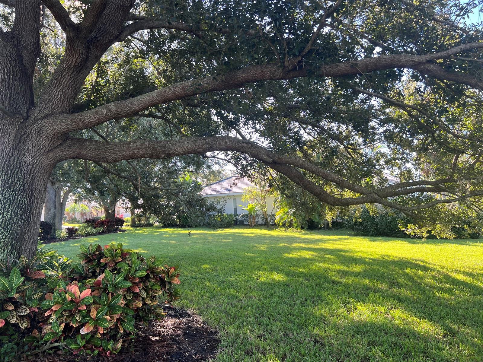 360 CEDARBROOK CT — photo 49