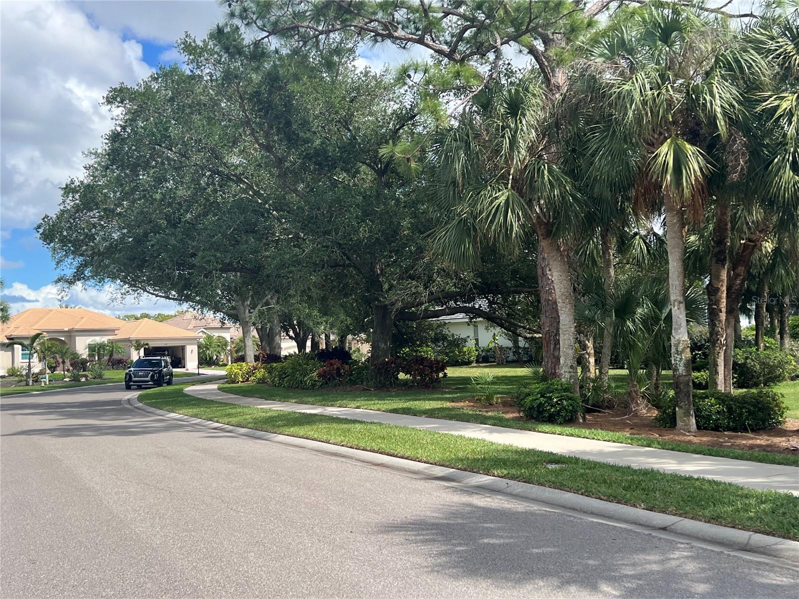 360 CEDARBROOK CT — photo 67
