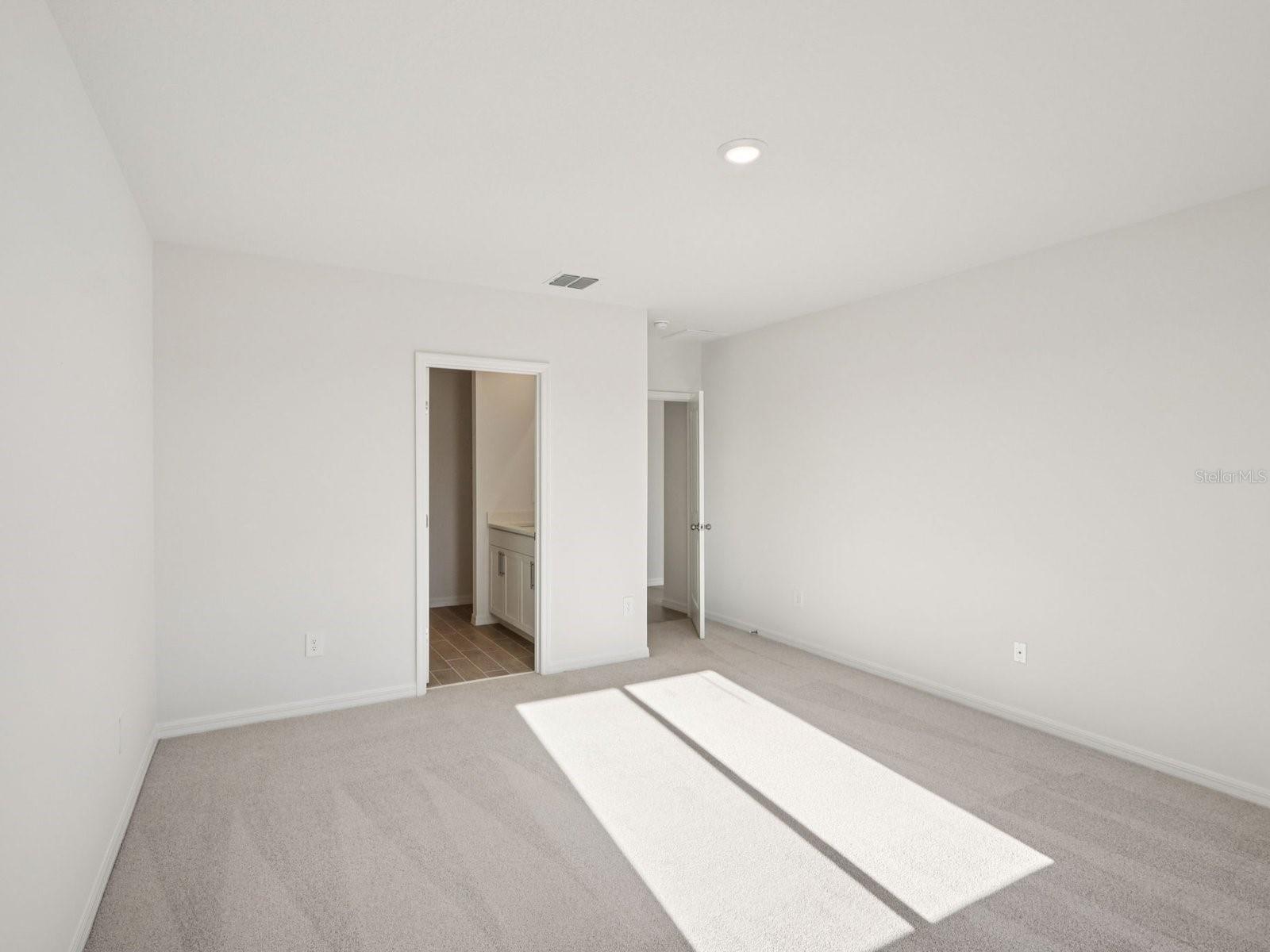 10433 ABUNDANCE GROVE WAY — photo 10