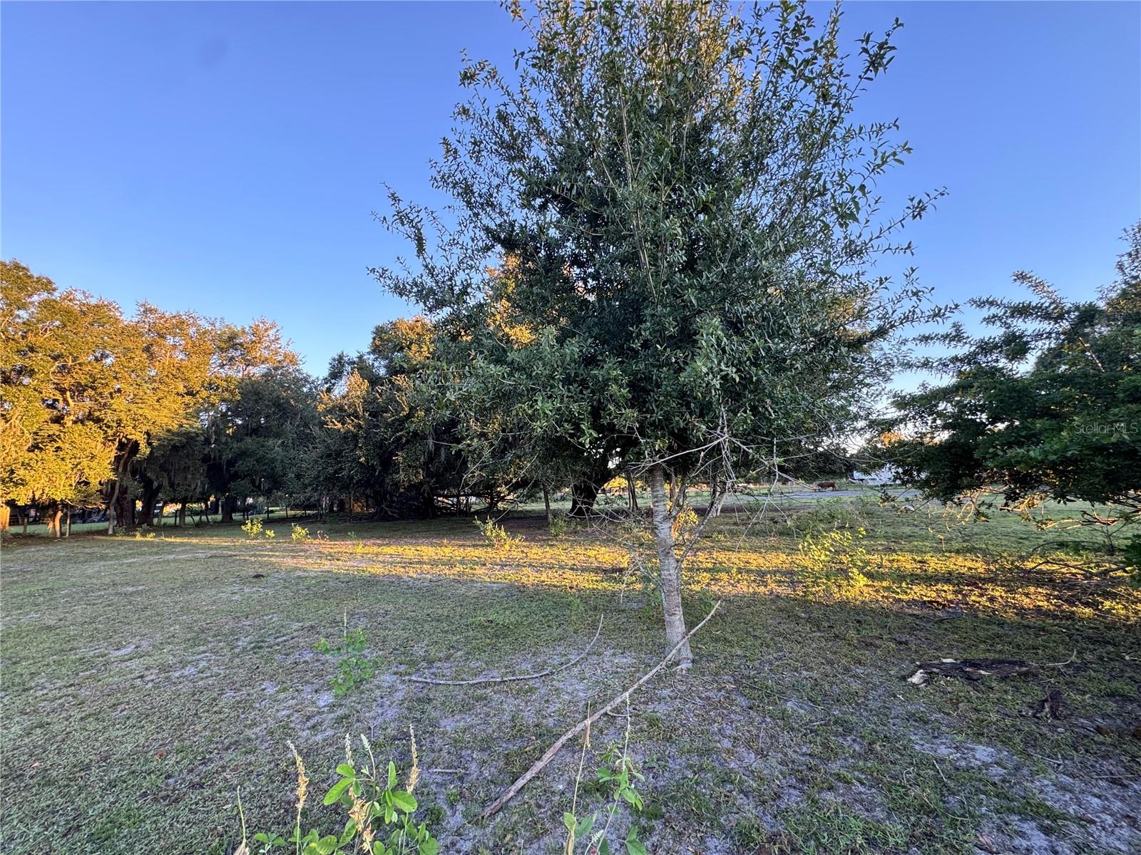 1804 ZIPPERER RD — photo 5