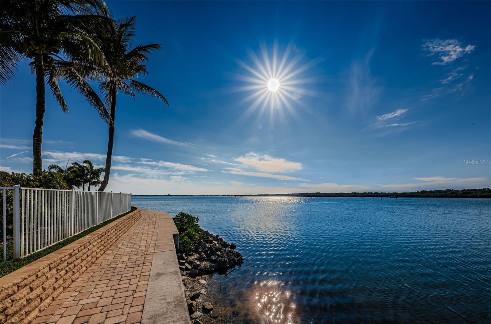 8800 BAY PINES BLVD #303 — photo 40