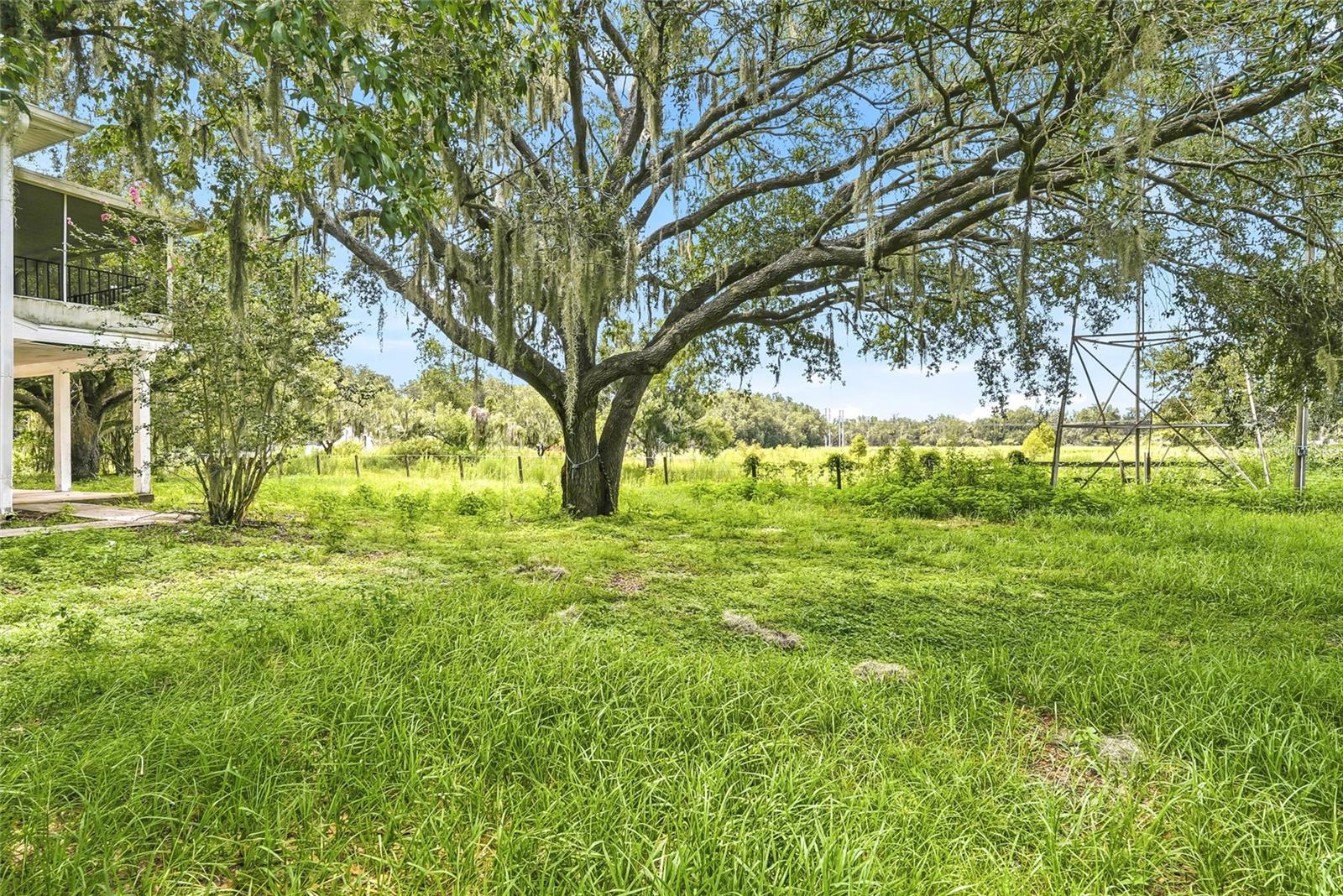 8731 LITHIA PINECREST RD — photo 48