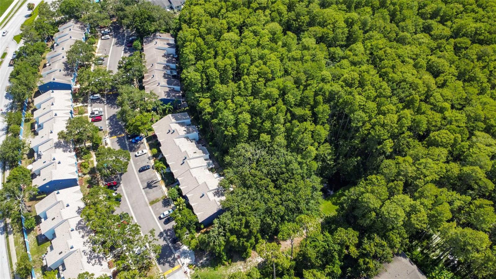 3350 FOX HUNT DR — photo 44