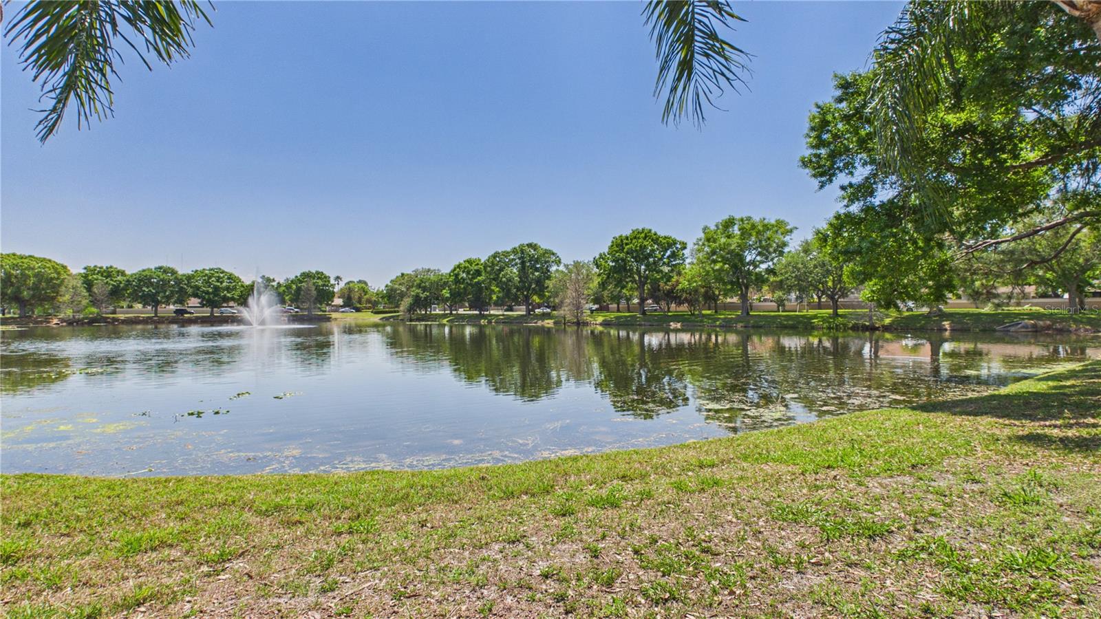 8609 BOYSENBERRY DR — photo 44