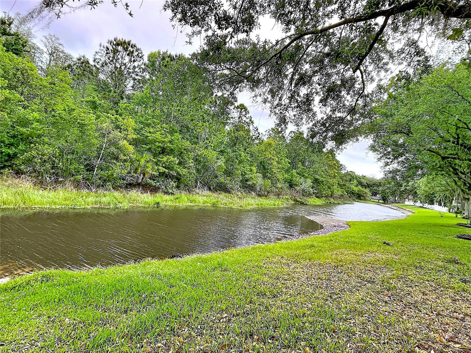 27509 EDENFIELD DR — photo 3