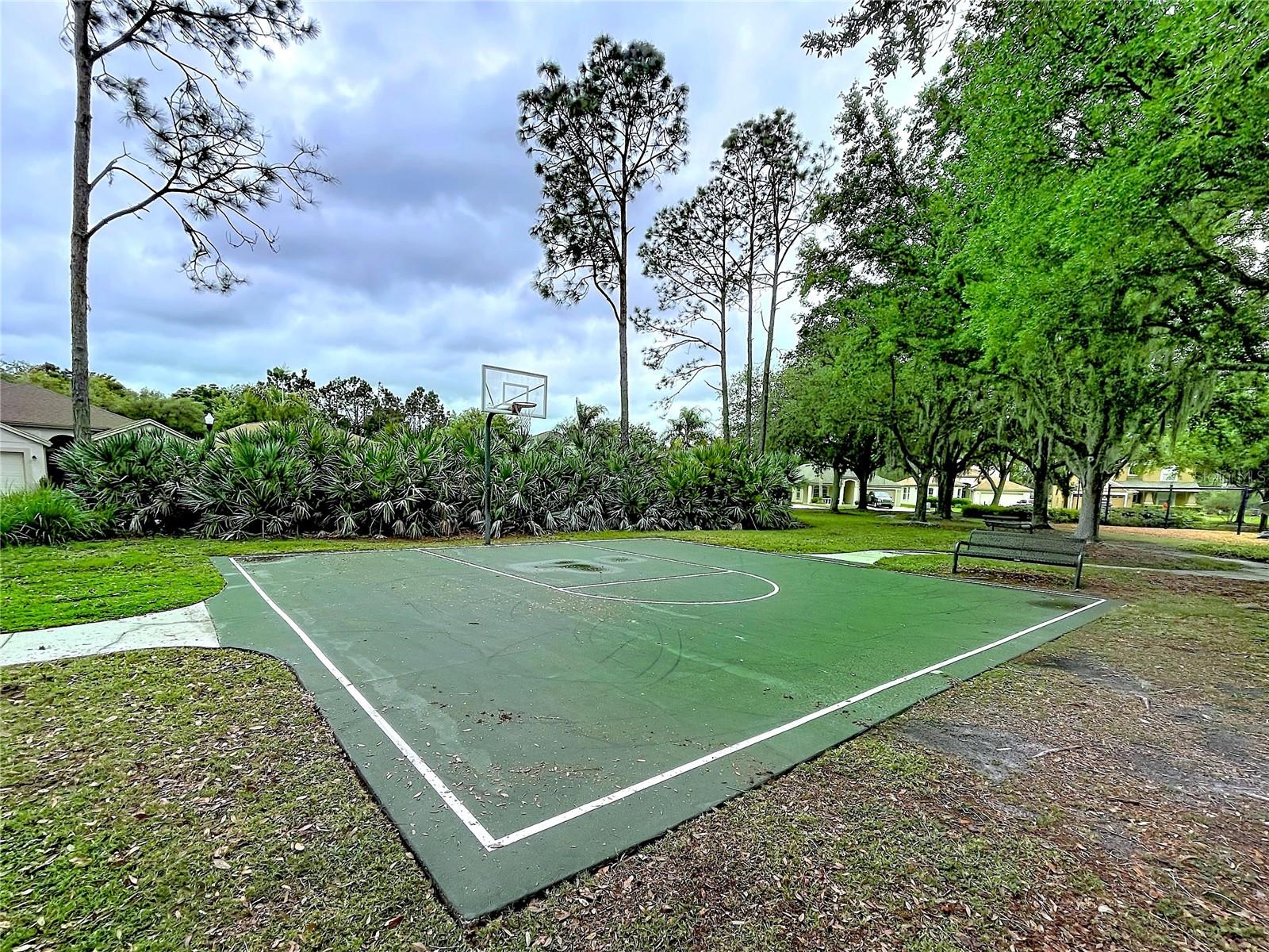 27509 EDENFIELD DR — photo 42