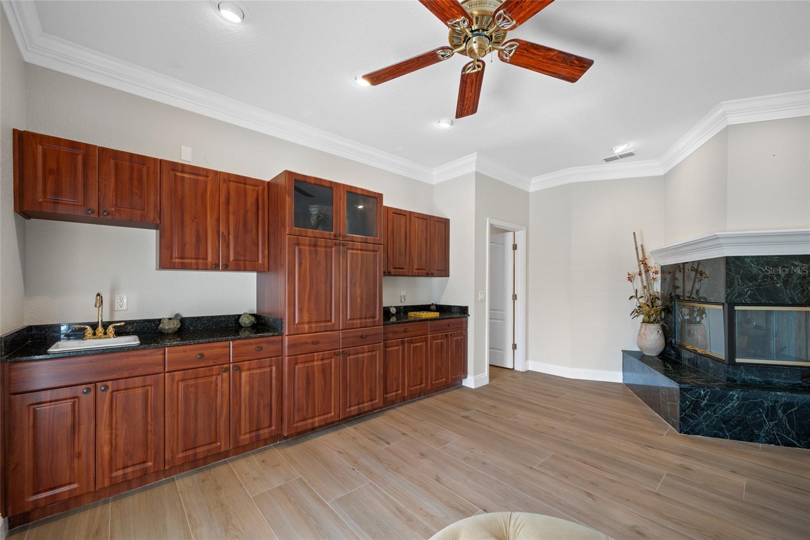 11939 PASCO TRAILS BLVD — photo 15